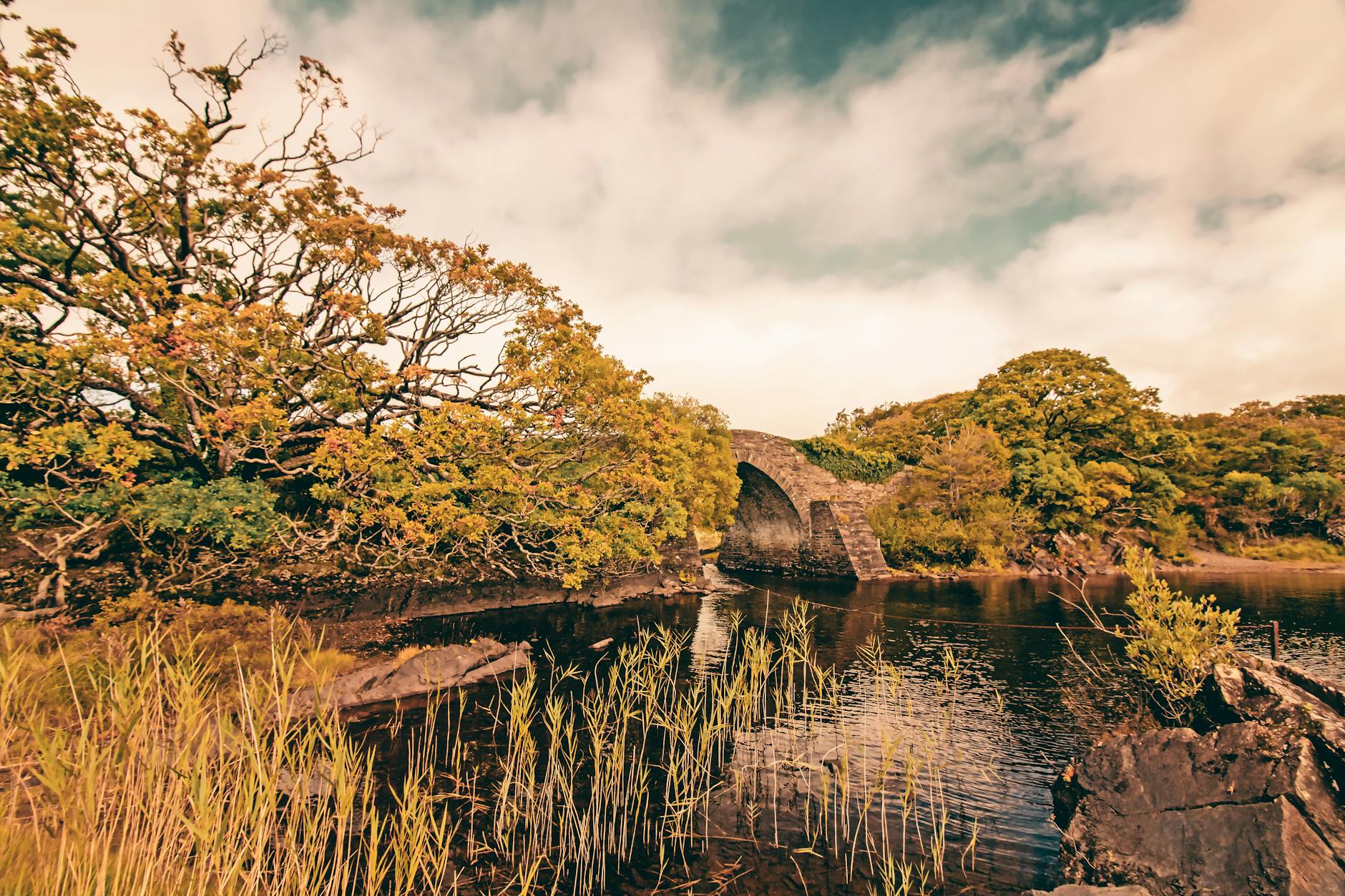 Explore the serene beauty of a stone bridge in Killarney National Park with lush greenery.