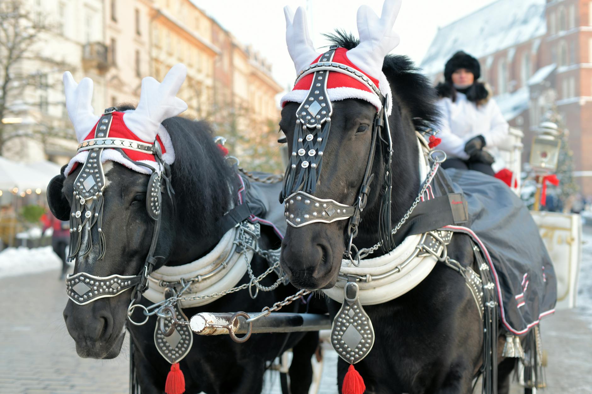 Krakow guided excursion setting for port-call traveler planning.