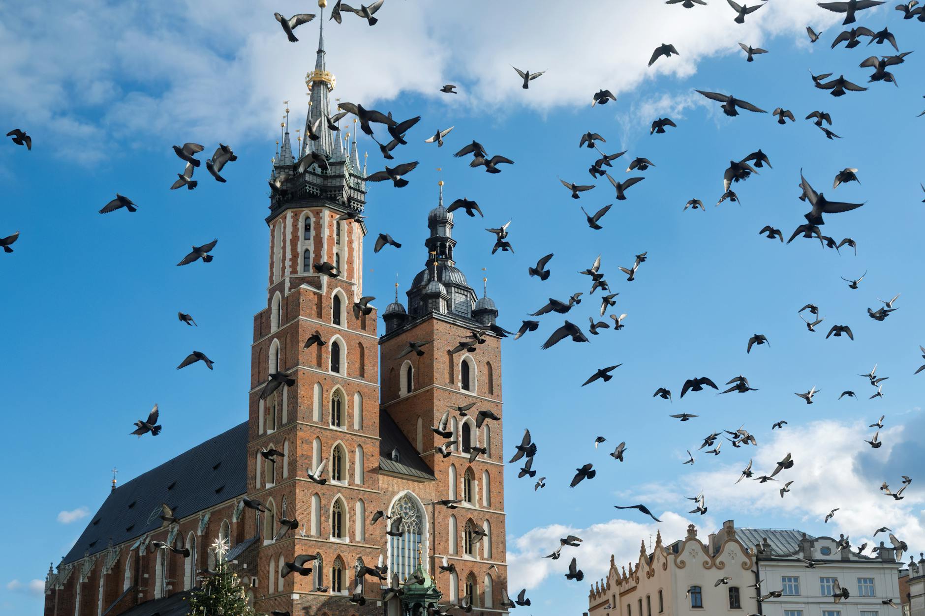 Krakow quiet business setting for investor confidentiality planning.