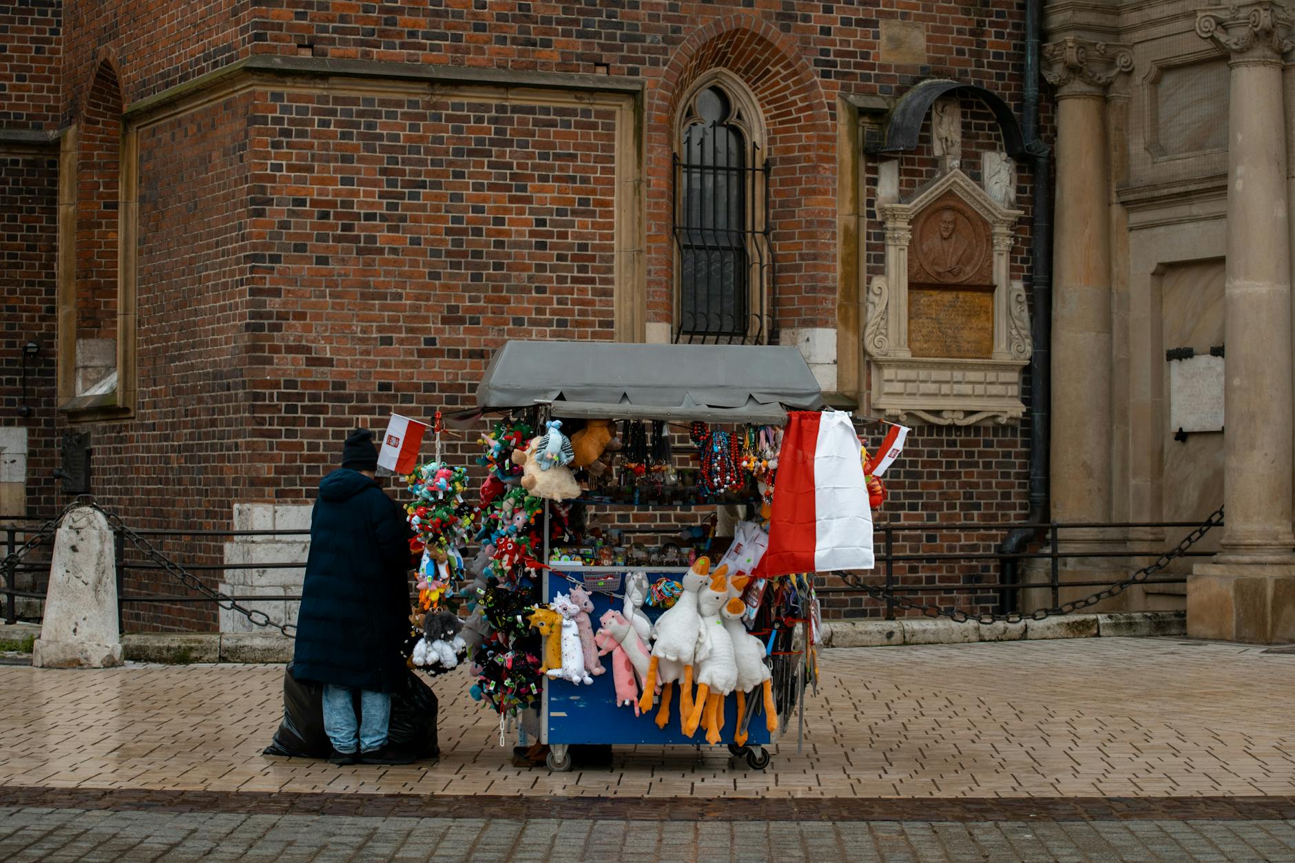 Krakow volunteer or NGO traveler city setting for short-stay planning.