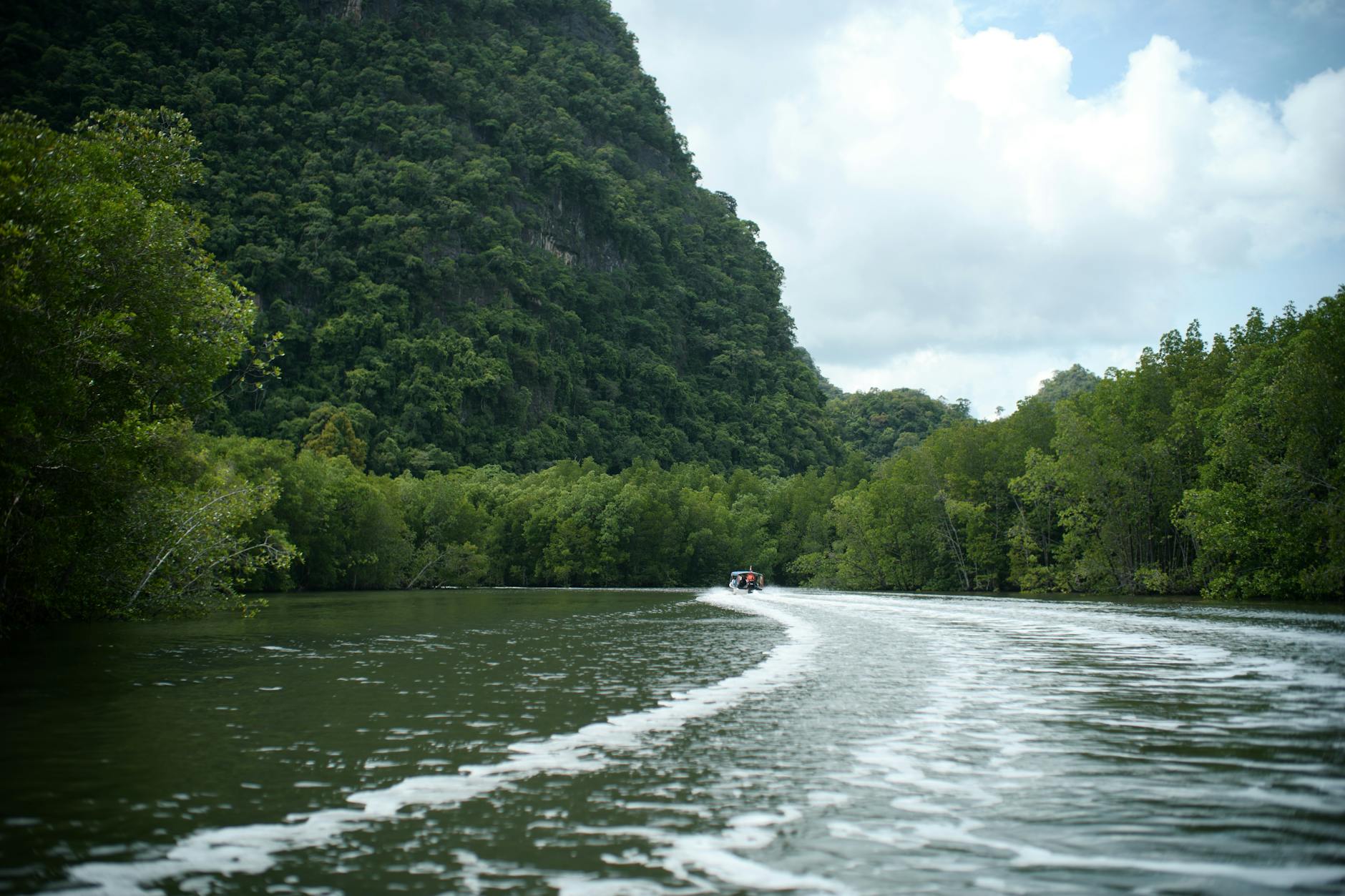 Langkawi academic conference attendee image for short-term planning.