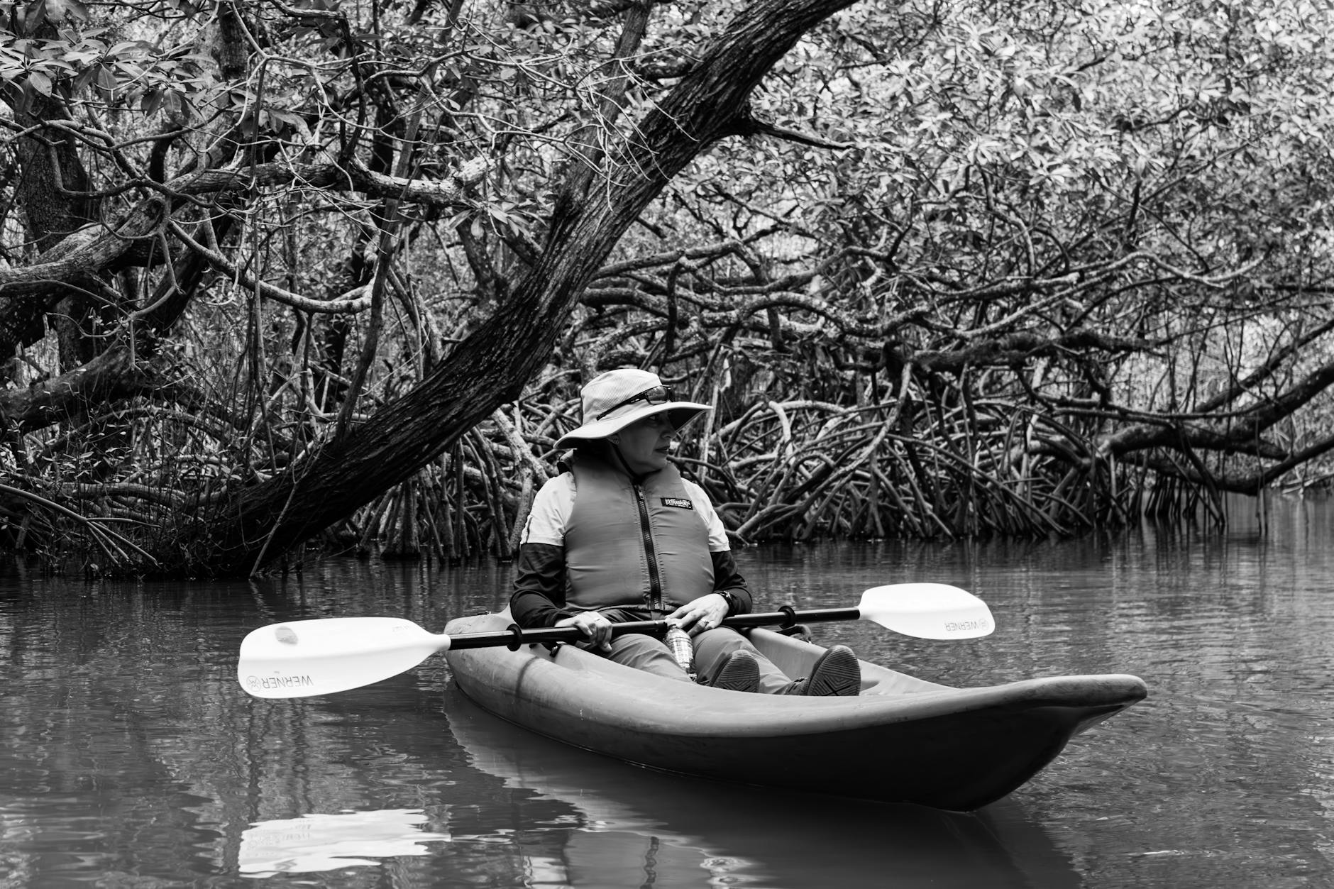 Langkawi mangrove kayak and water-safety planning context.