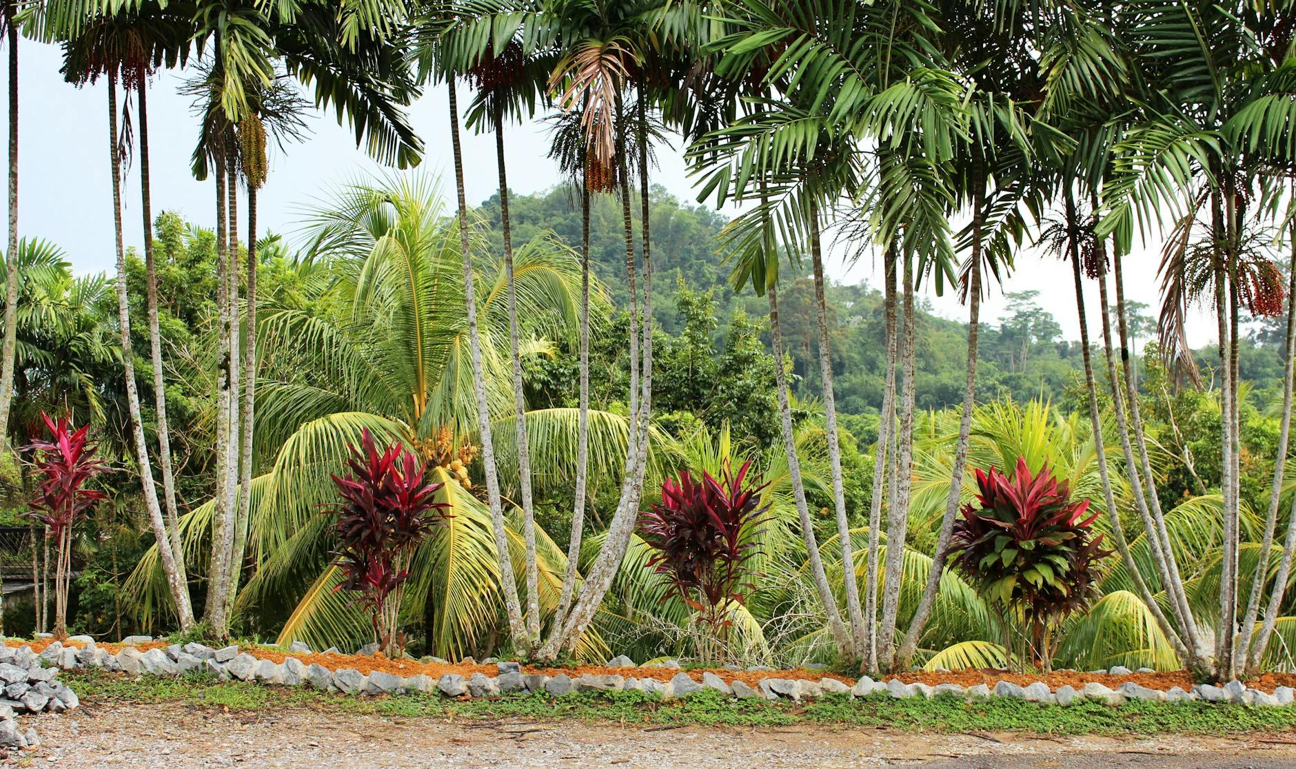 Langkawi adventure or outdoor traveler image for short-term planning.