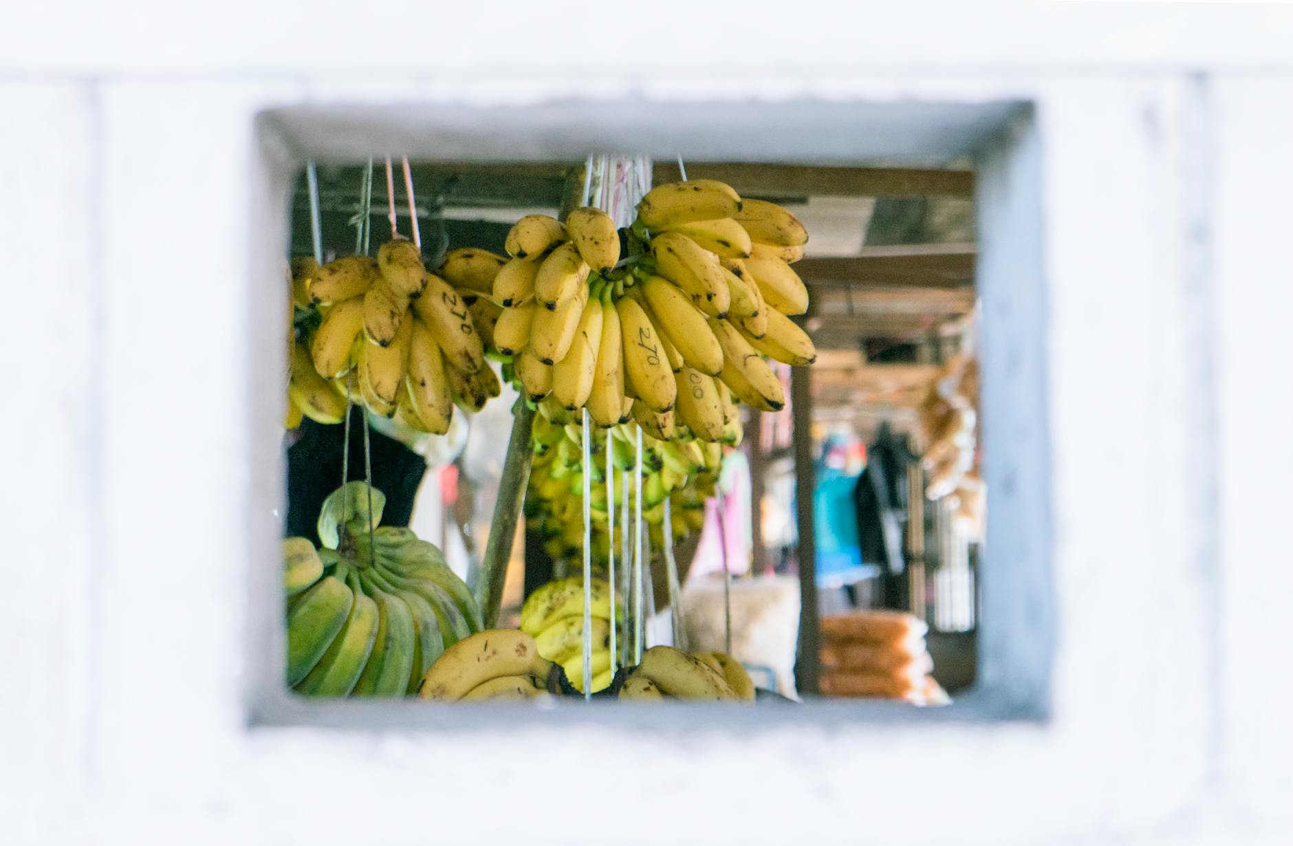 Langkawi food and responsible creator storytelling context.