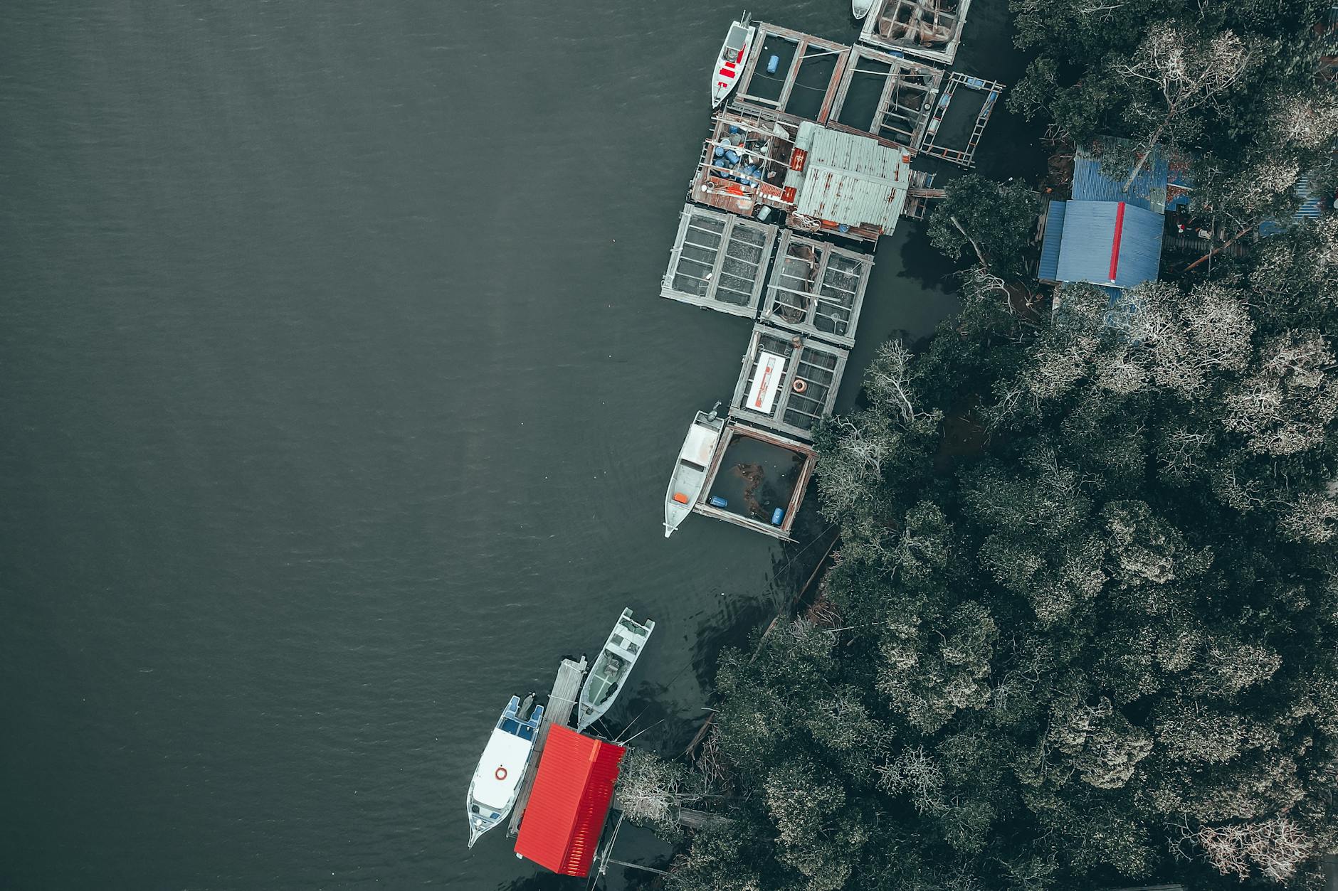 Langkawi mangrove boat tour and cruise shore-day planning context.