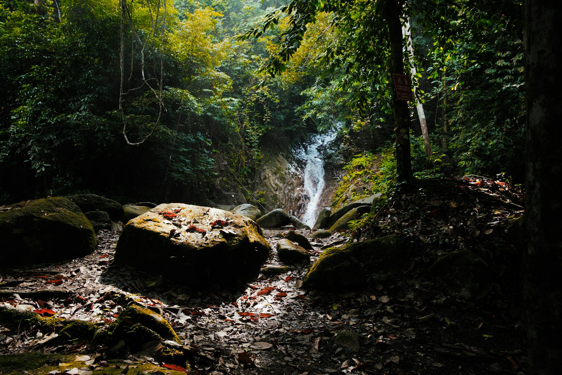 Langkawi rainforest and deeper nature planning for repeat leisure visitors.