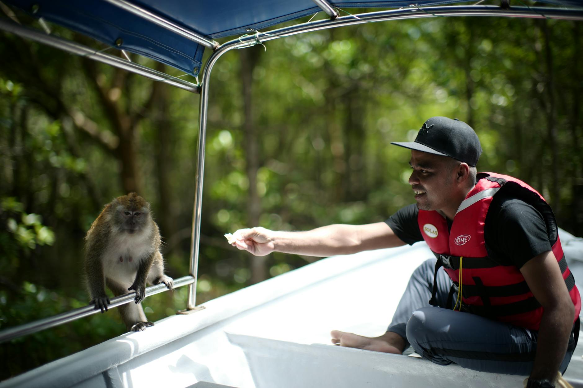 Langkawi mangrove and boat-tour planning context for tourists.
