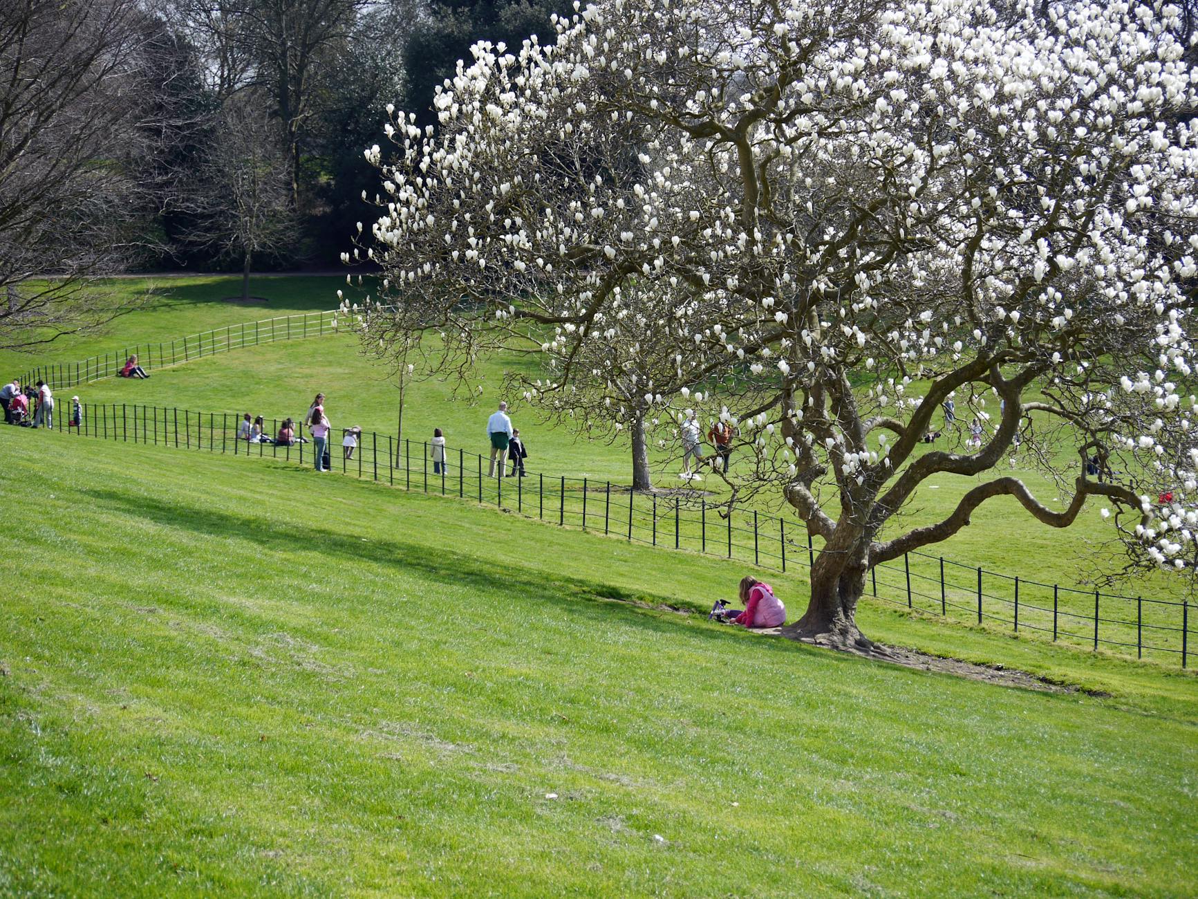 Spring park scene in London with people enjoying open space