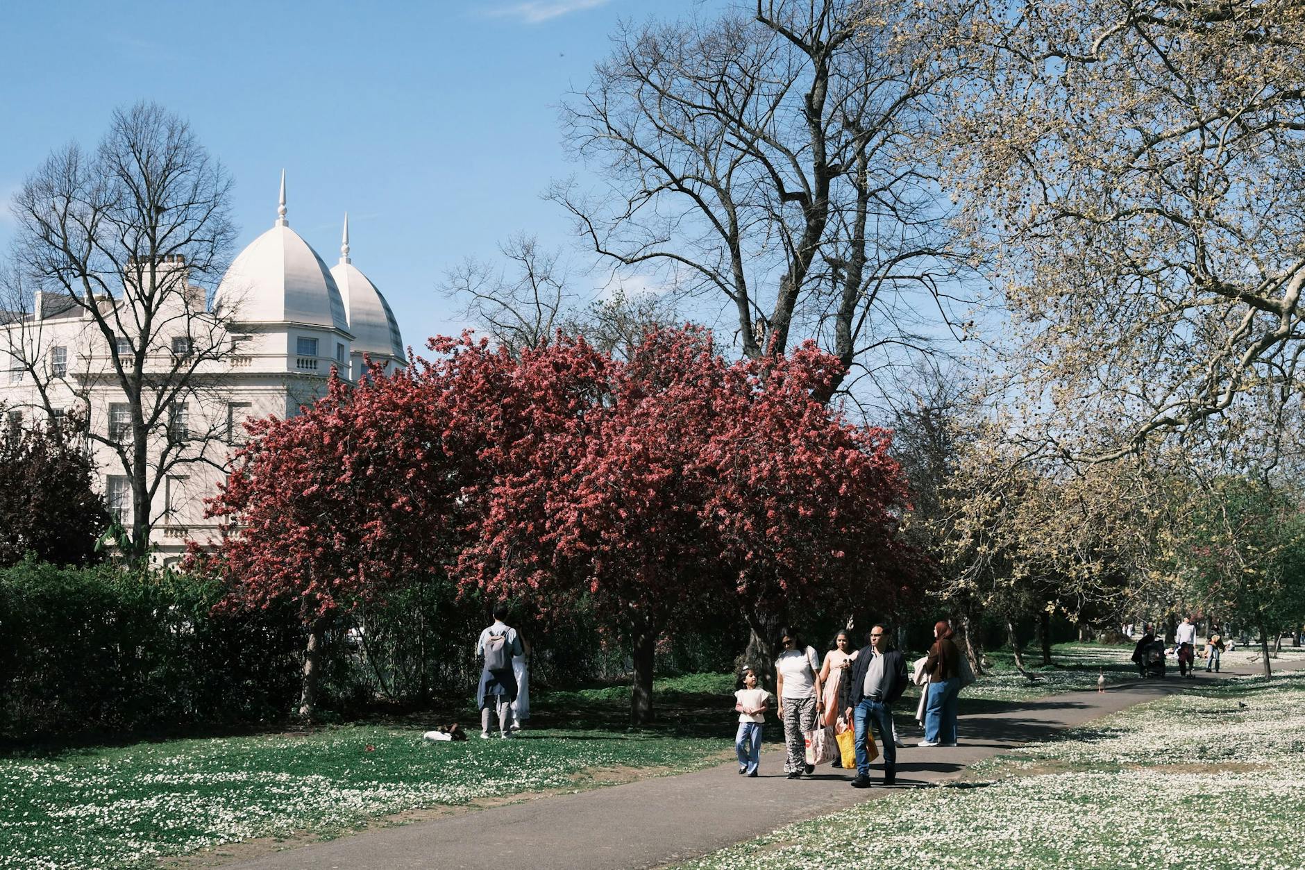Families and visitors in Regent's Park on a spring day