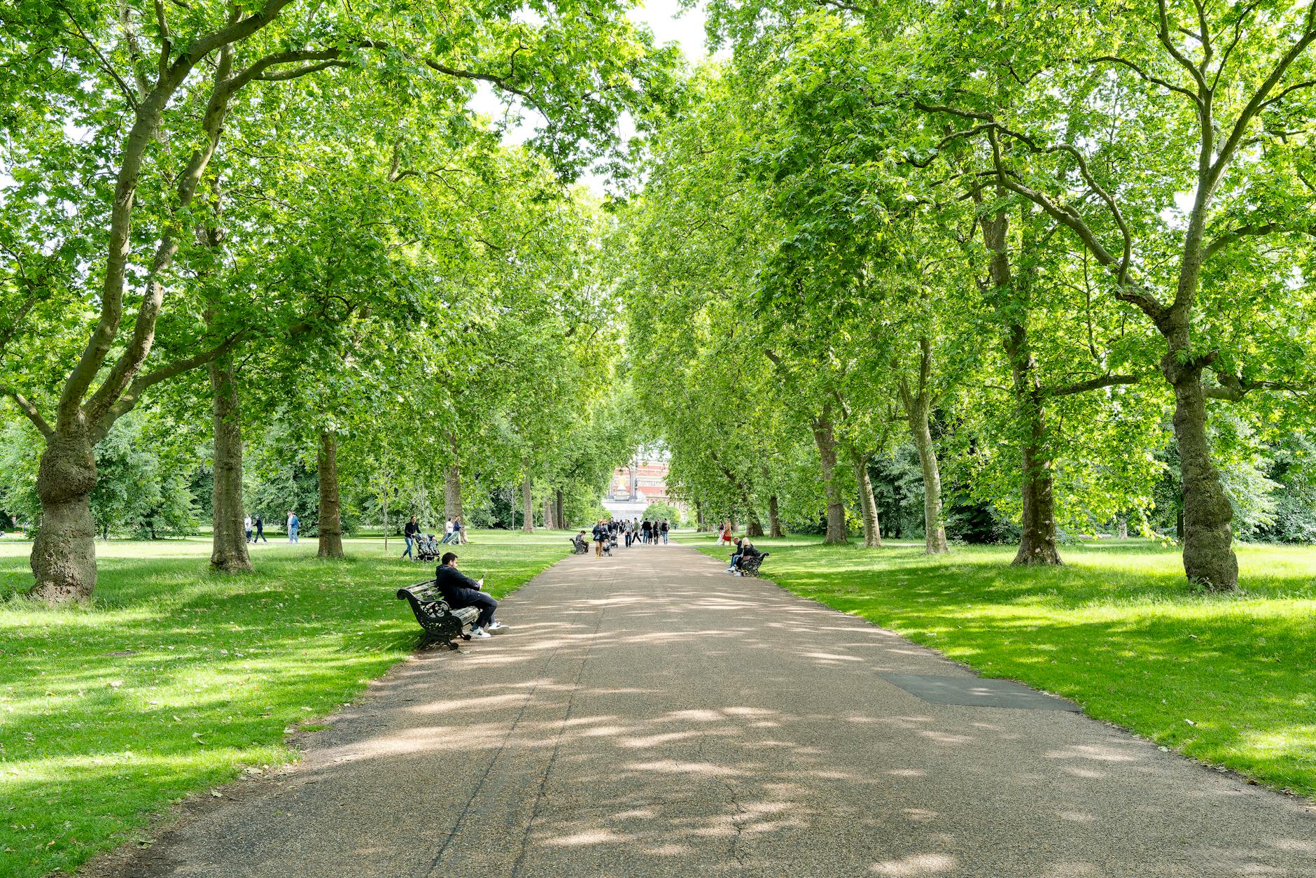 London park pathway with benches and trees