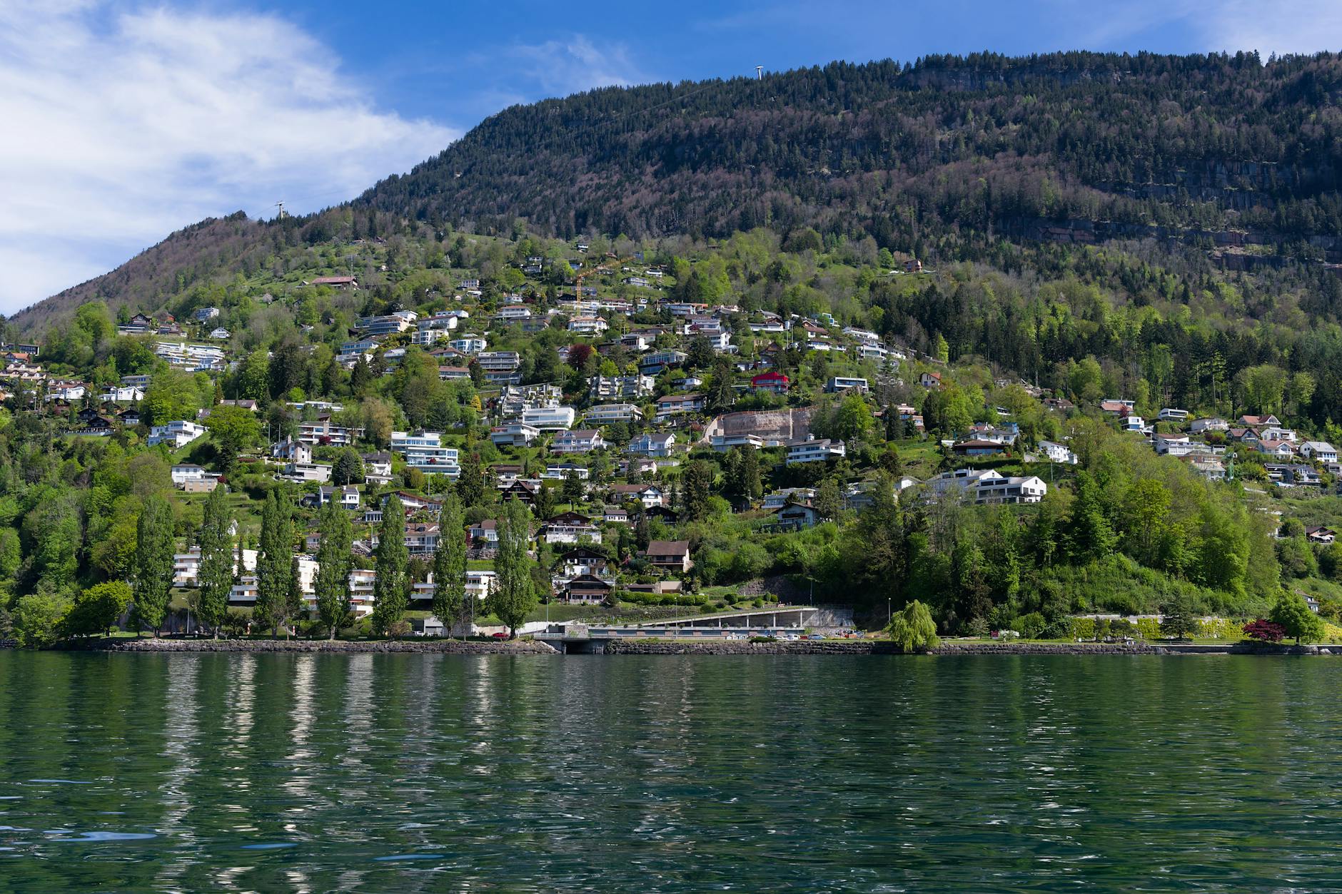 Vitznau hillside and Lake Lucerne for investor scenic timing decisions.
