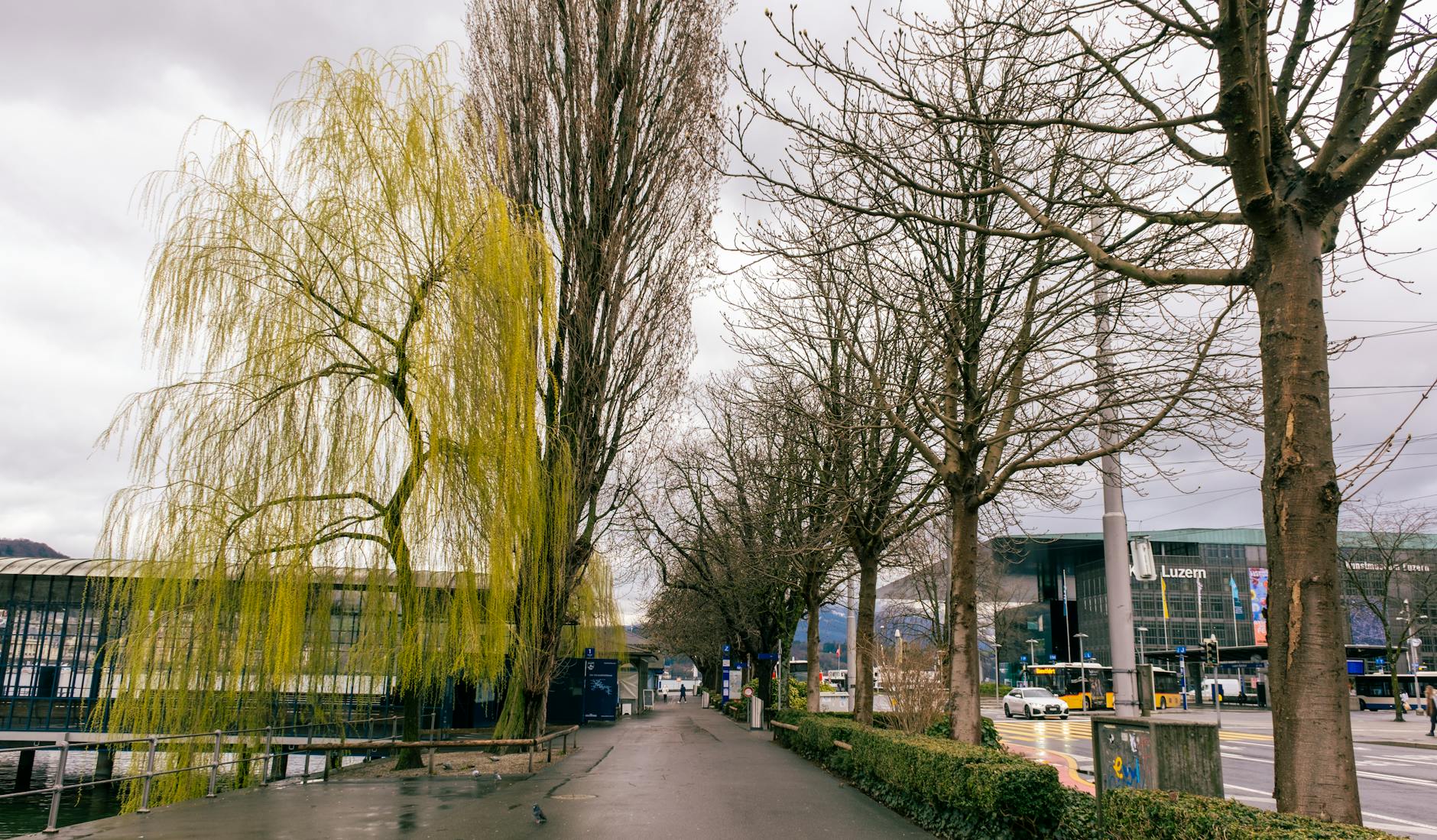 Quiet Lucerne street near modern buildings for medical-aware travel planning.