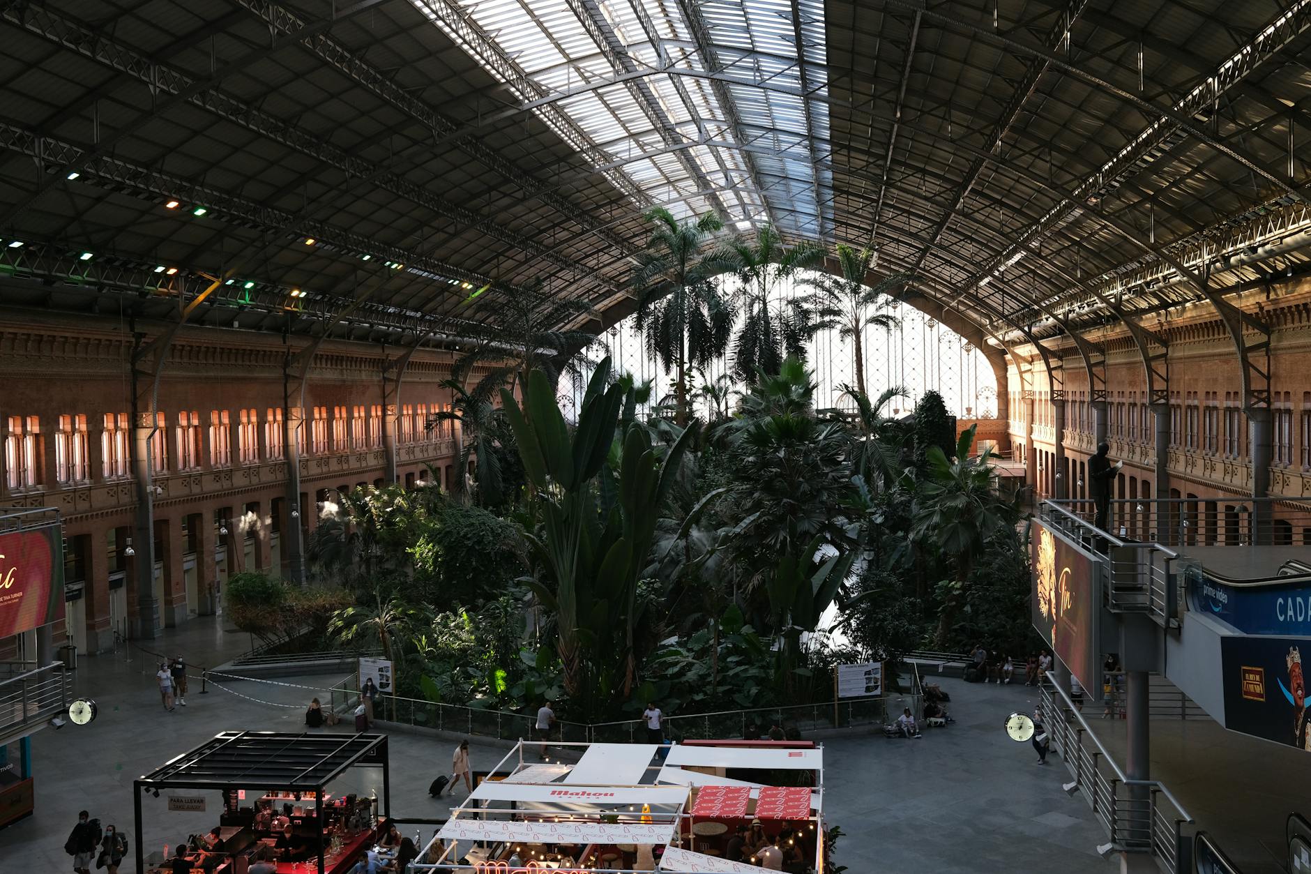 Interior greenery and concourse space at a Madrid rail station