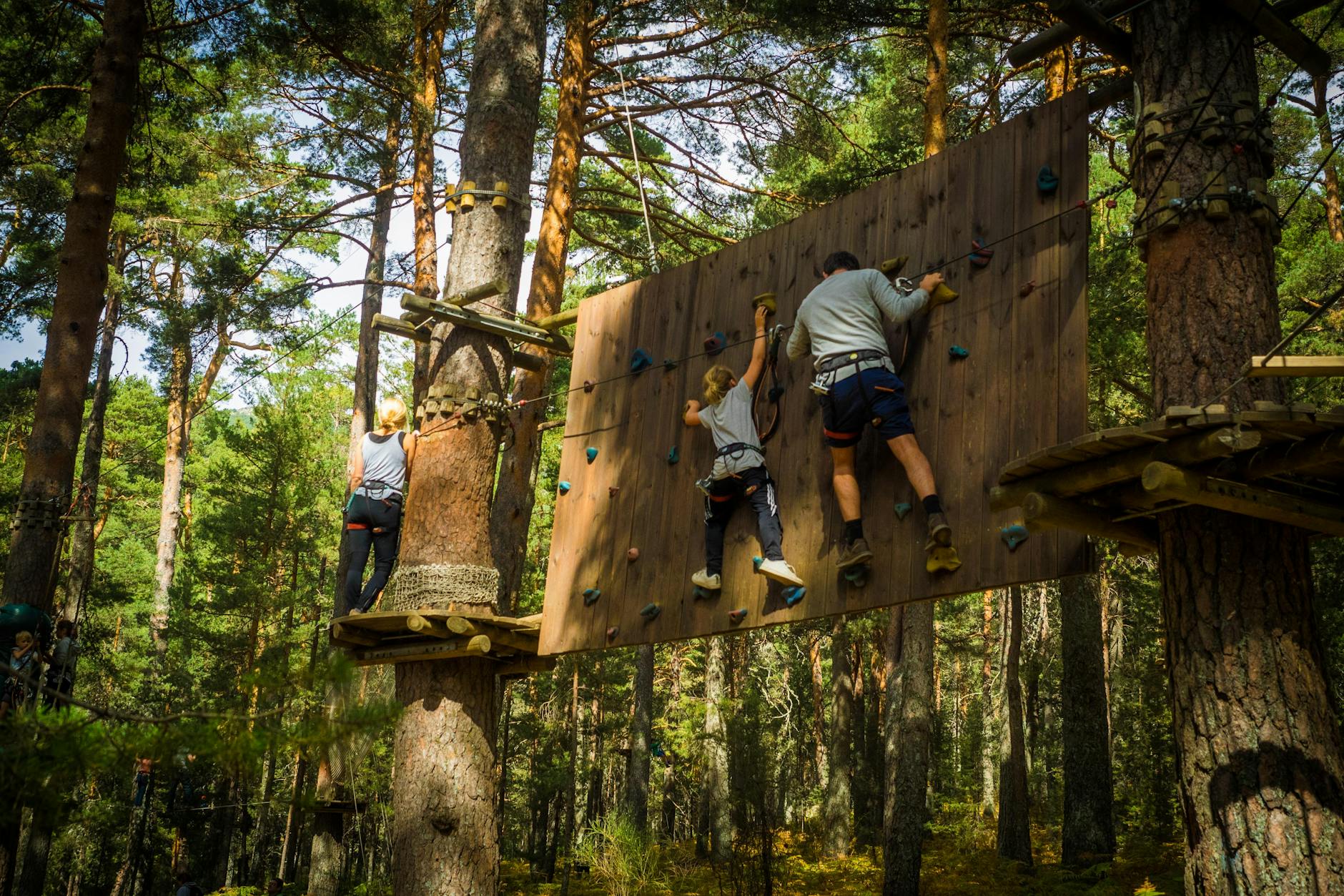 Family on an outdoor climbing course in Cercedilla near Madrid