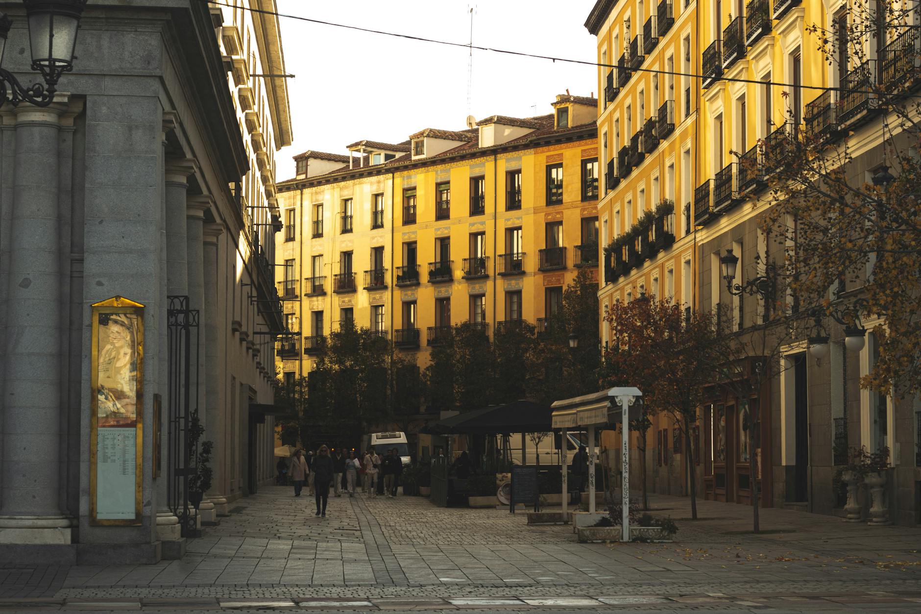 Classic Madrid street at sunset with trees and apartment facades