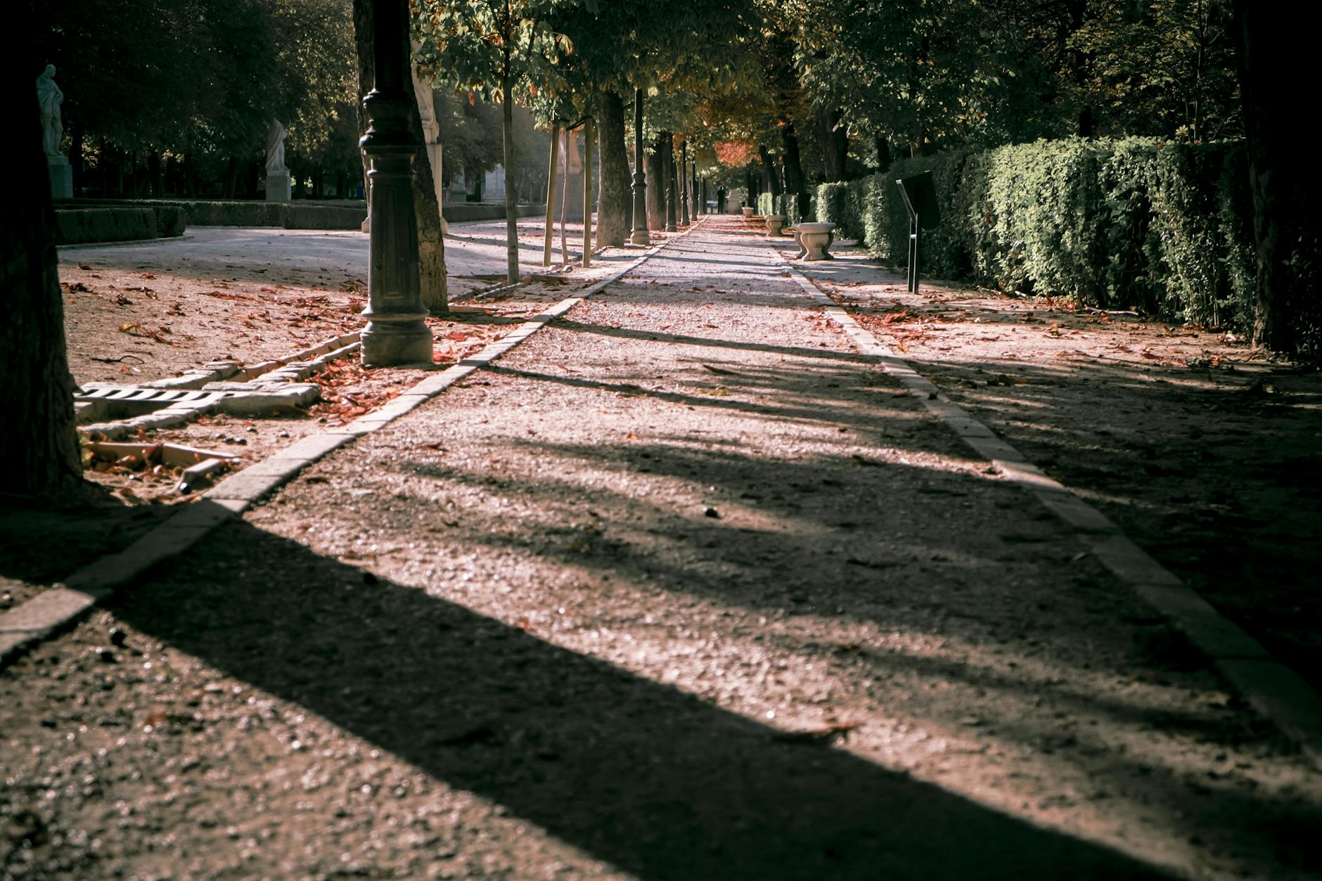 Tree-lined path in Retiro Park with autumn light