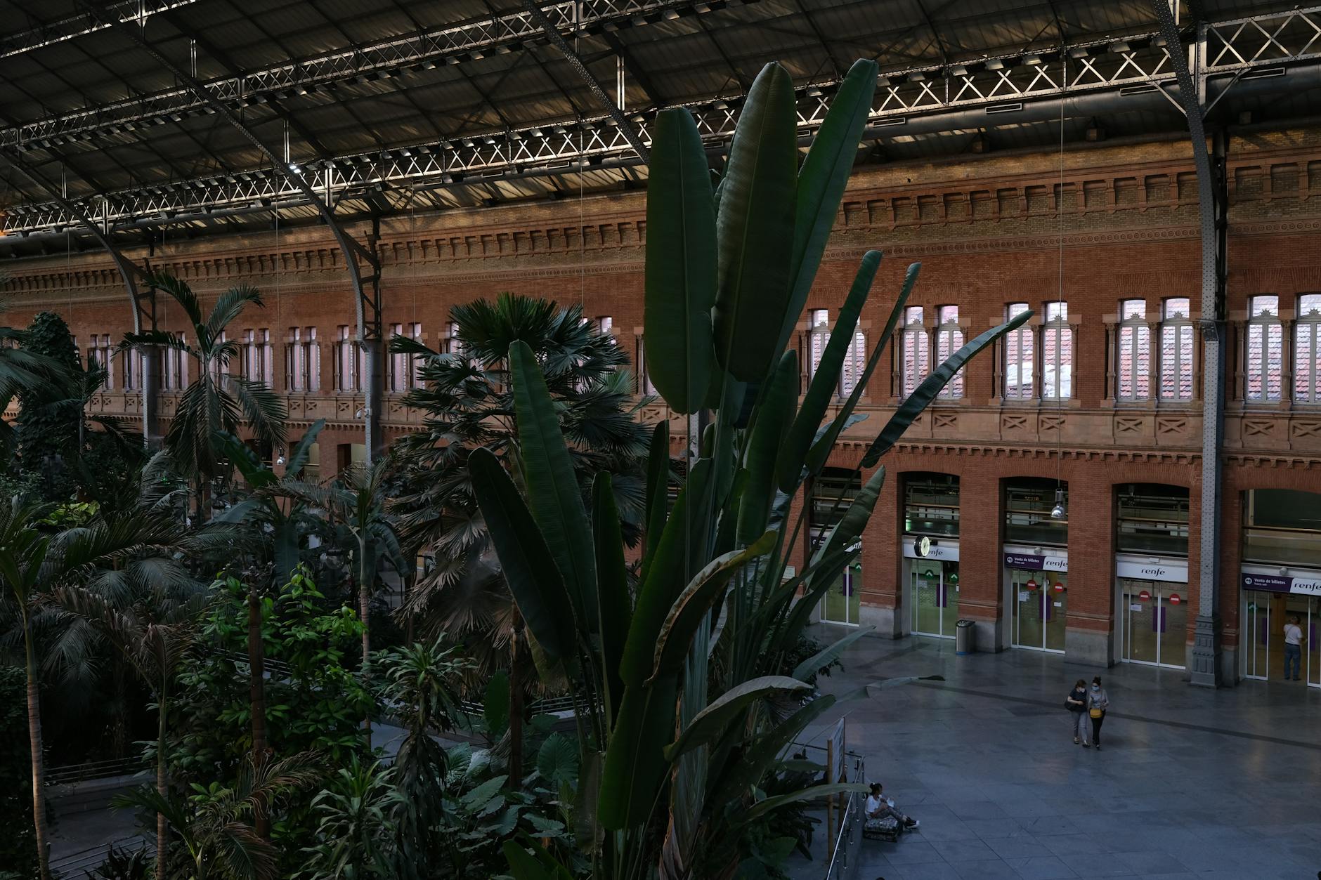 Tropical plants inside the historic atrium of Madrid Atocha station