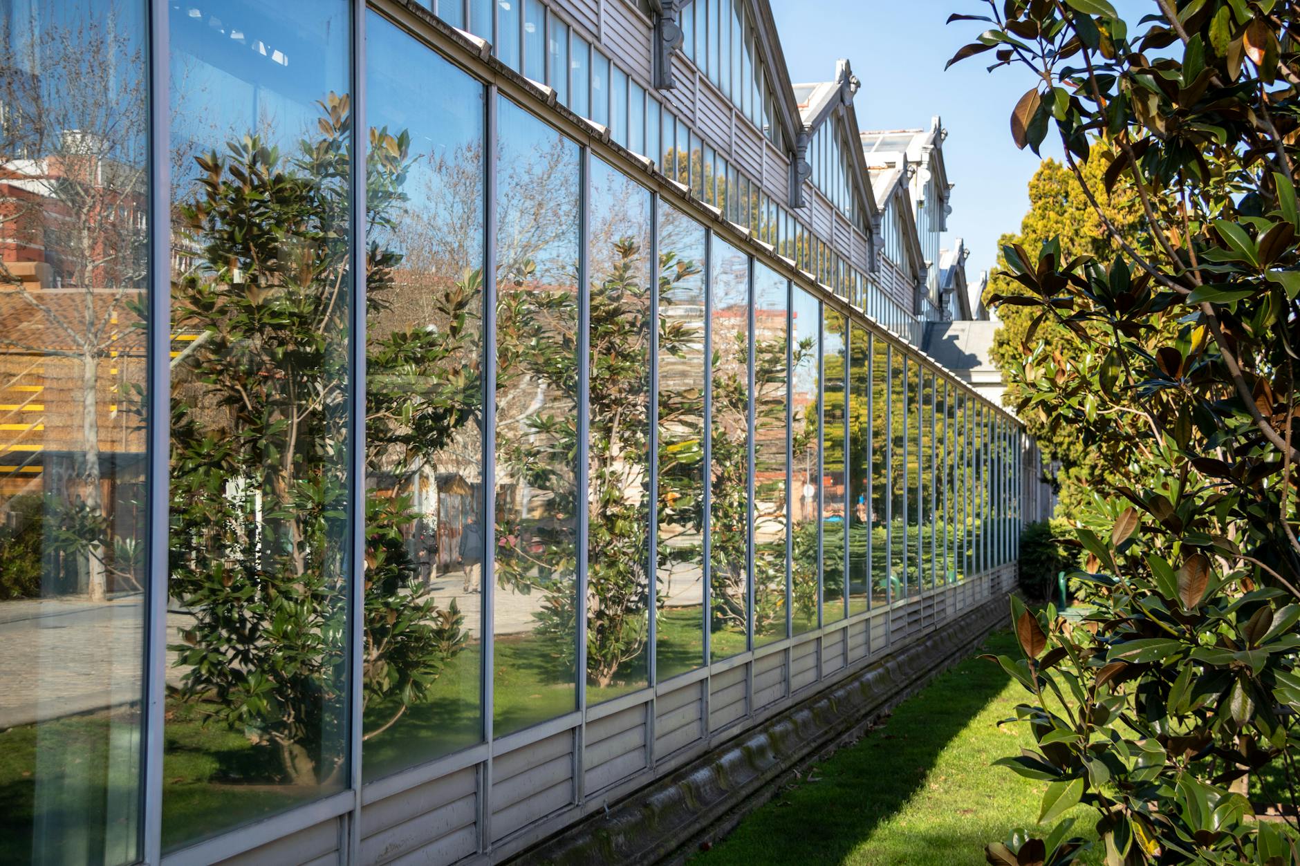 Glass building facade reflecting greenery in Madrid