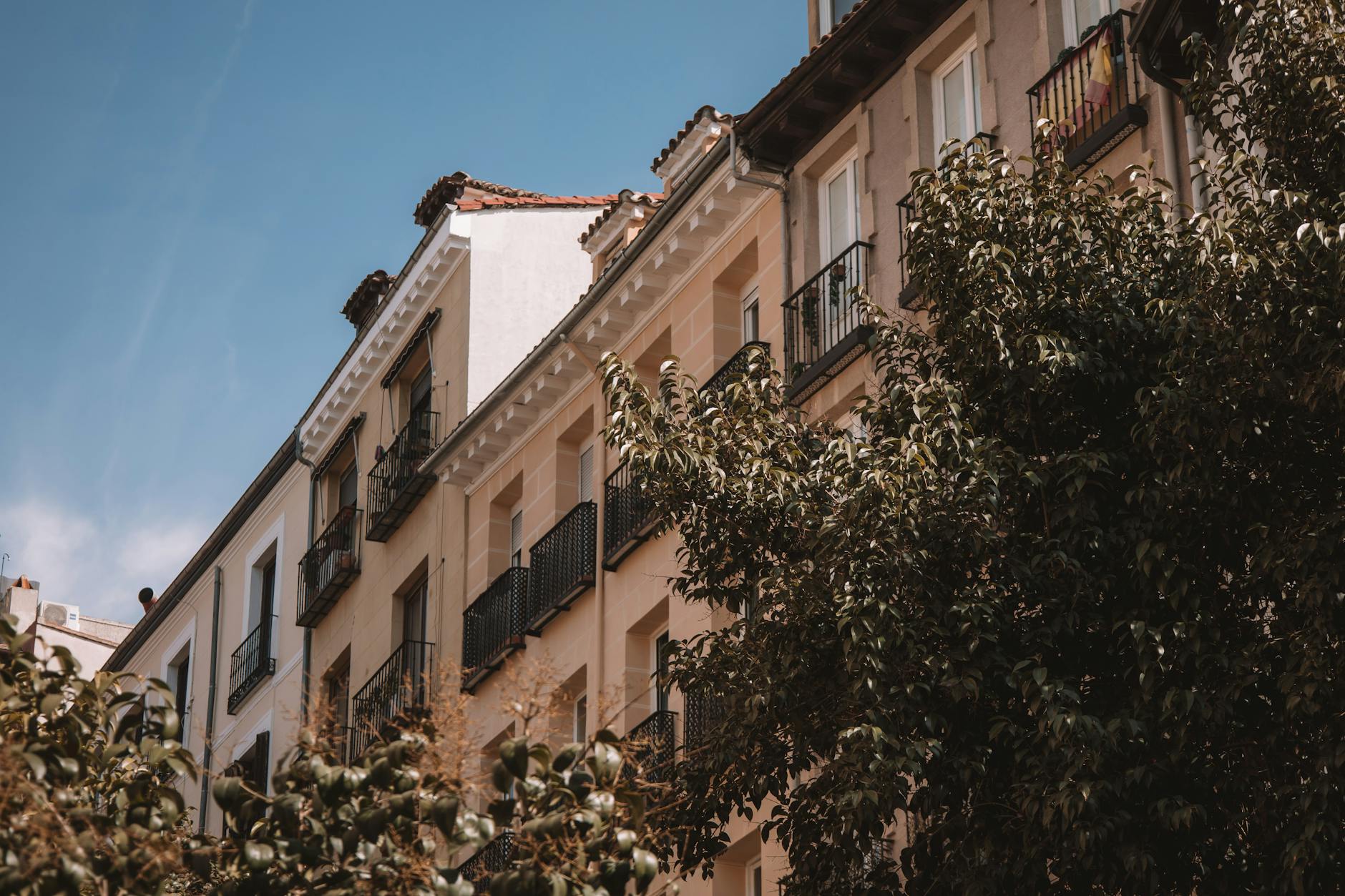 Madrid residential building with balconies and trees