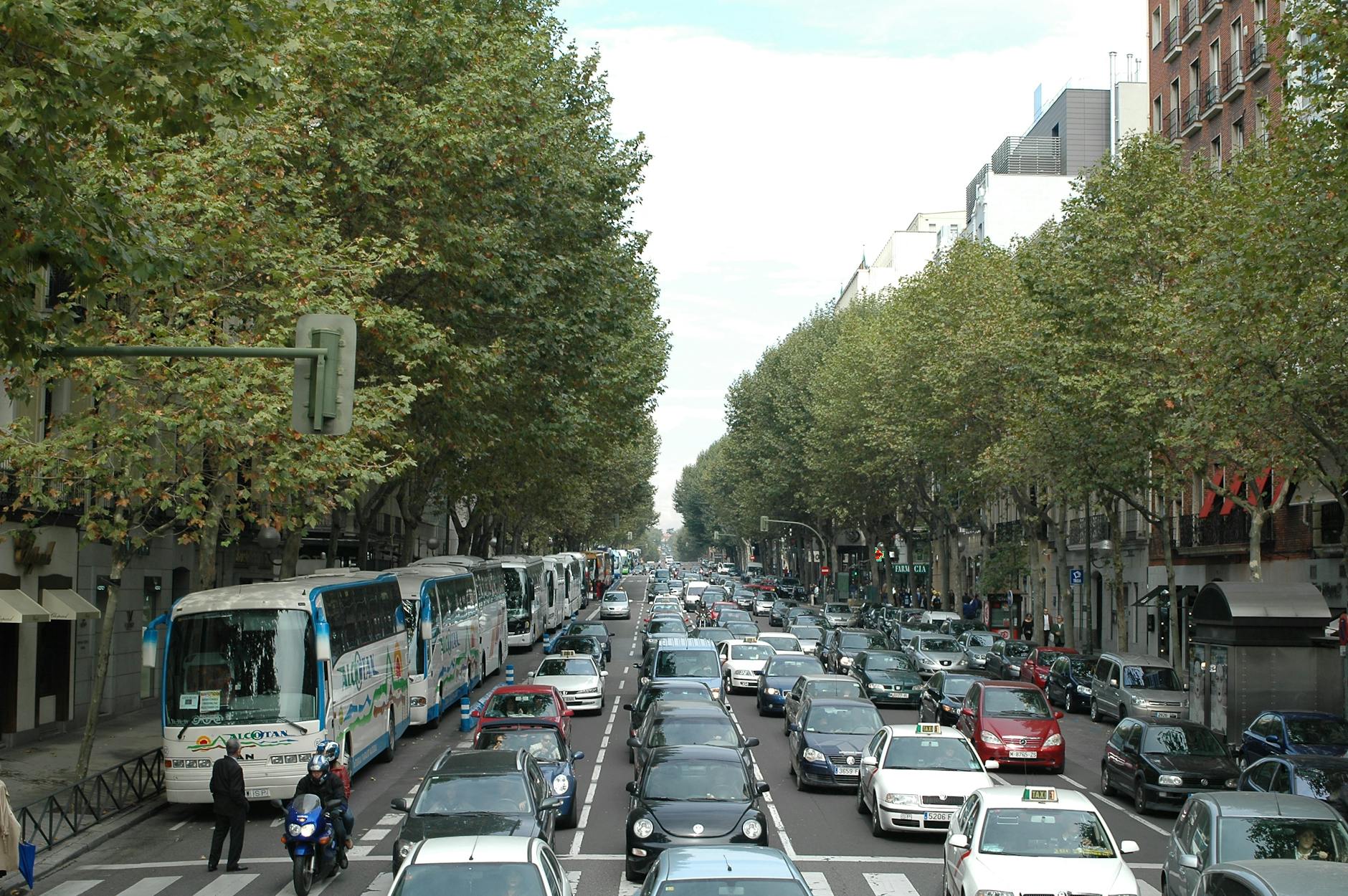 Busy Madrid street lined with trees and traffic