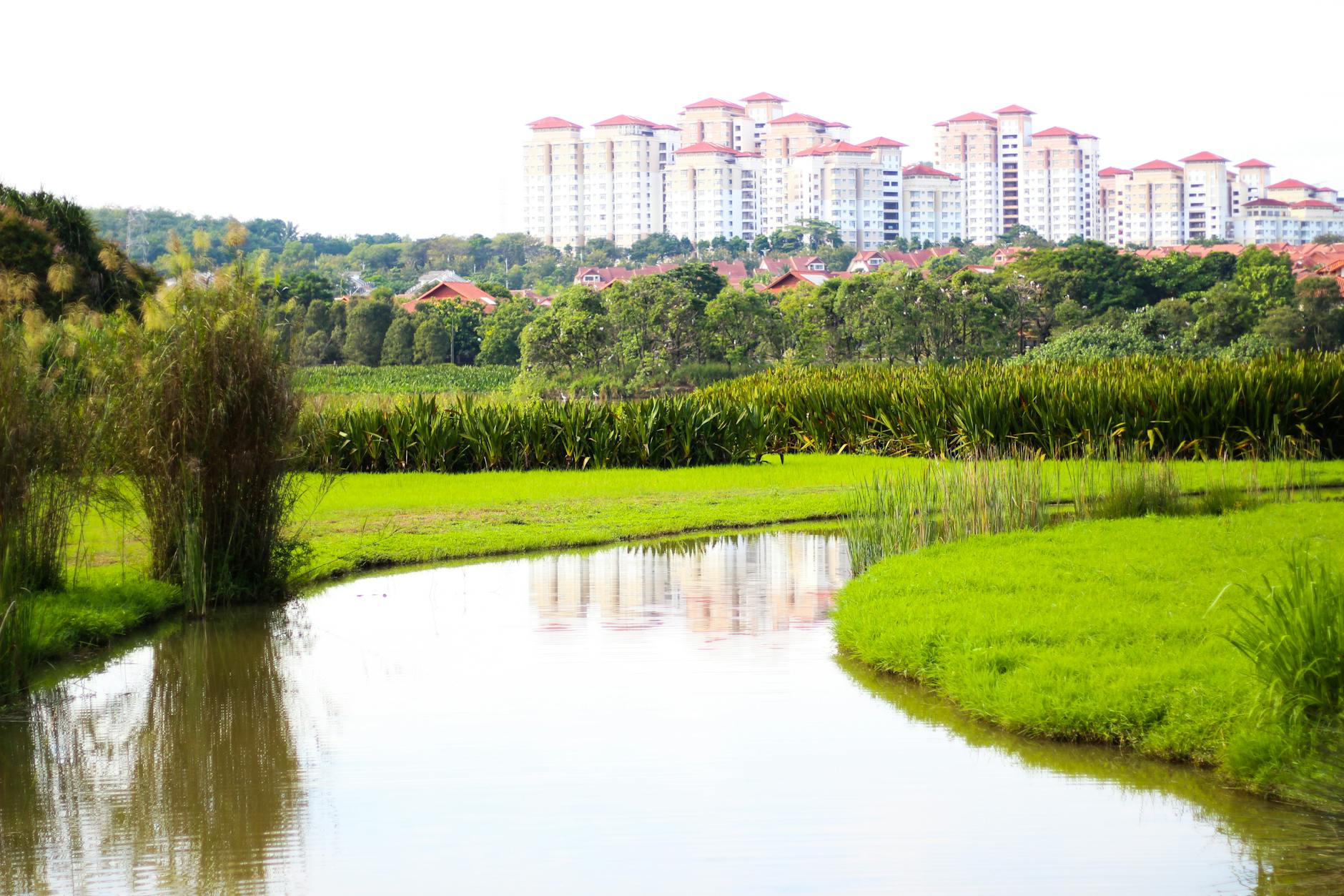 Malacca City local-transport planning context for mobility limitations.