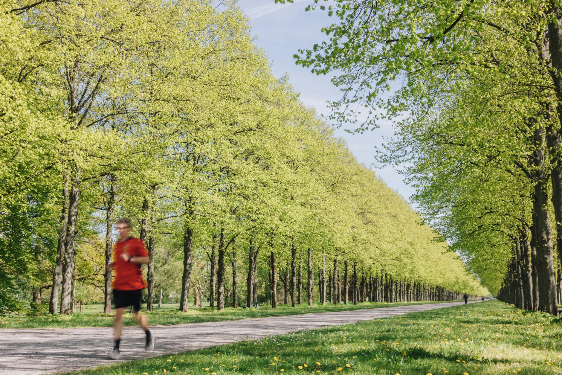Runner moving along a tree-lined park path