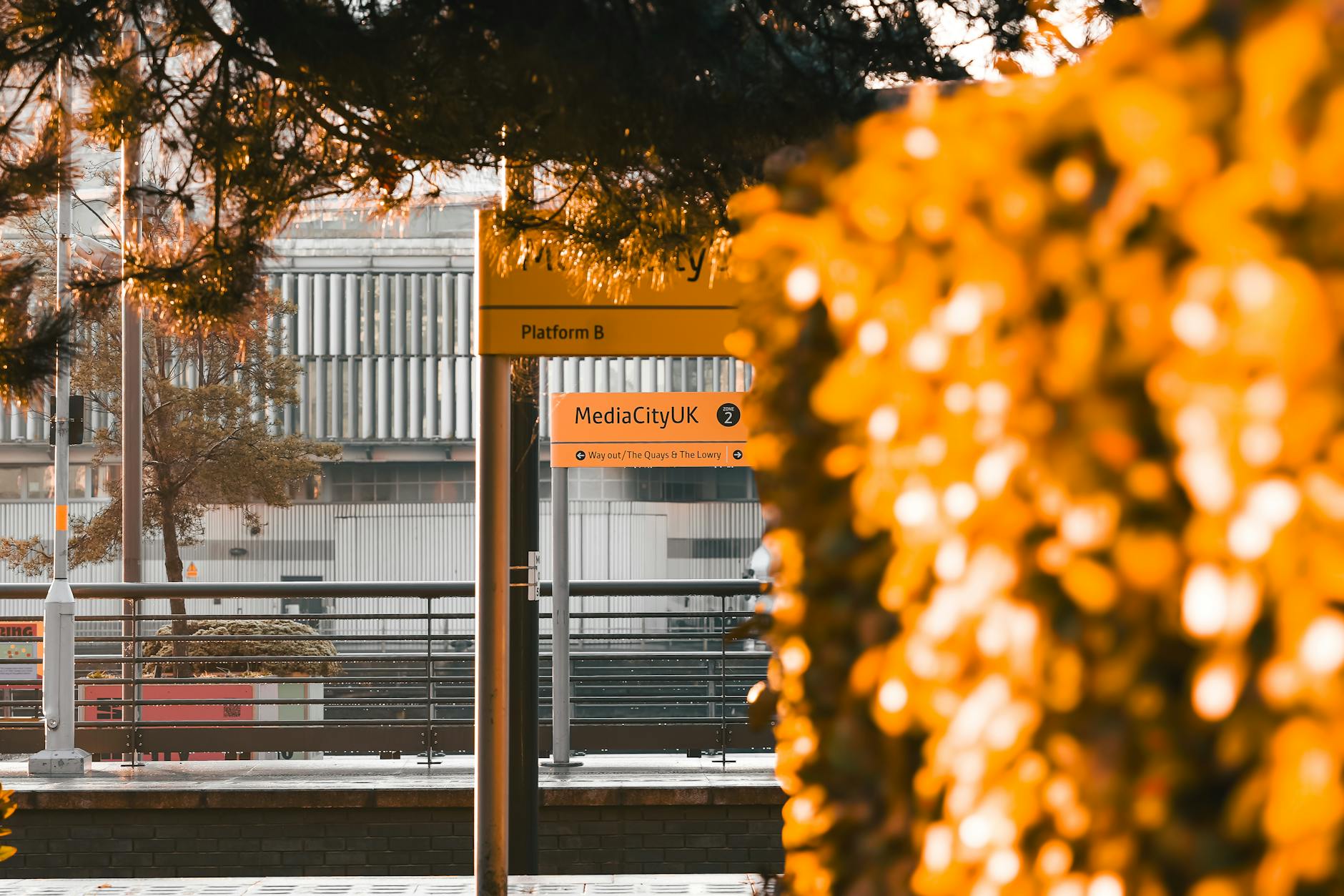MediaCityUK tram stop sign framed by autumn leaves in Salford