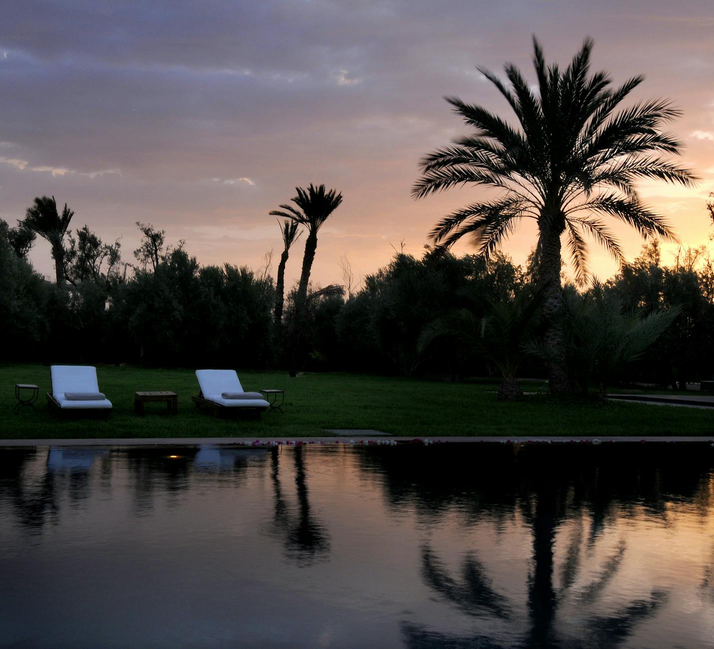 Palm trees and poolside loungers at sunset in Marrakech