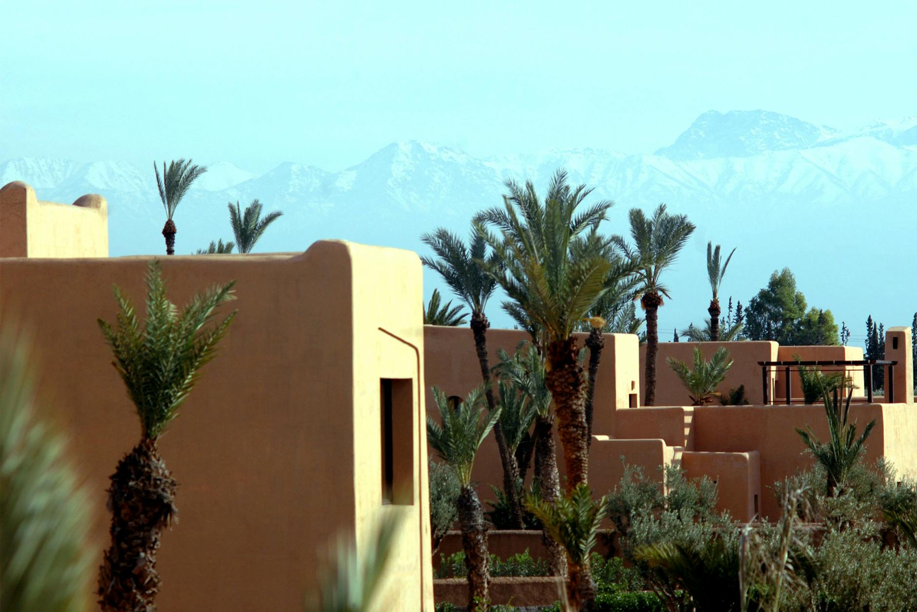 Marrakech architecture with palm trees and mountains beyond