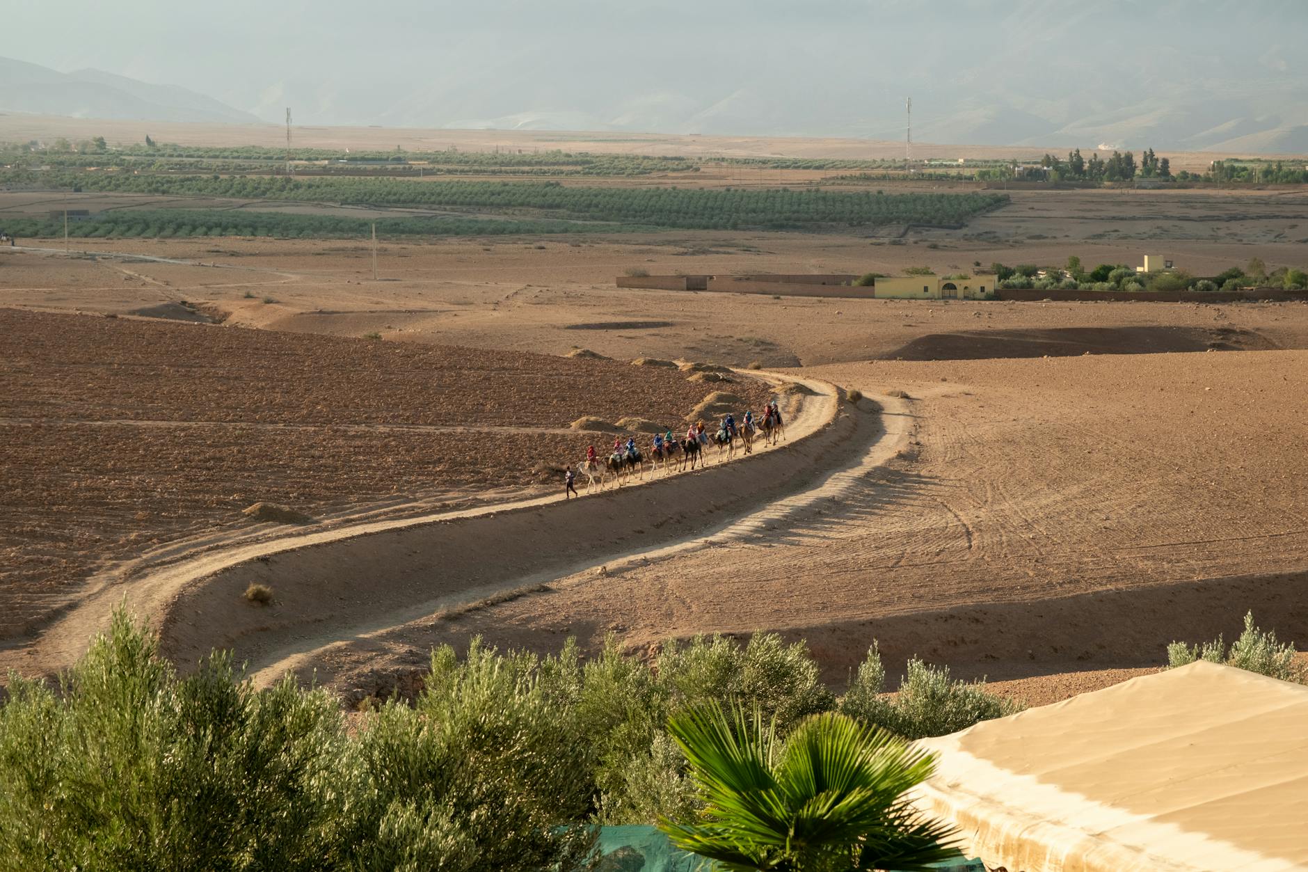Camel caravan in a Marrakesh desert landscape