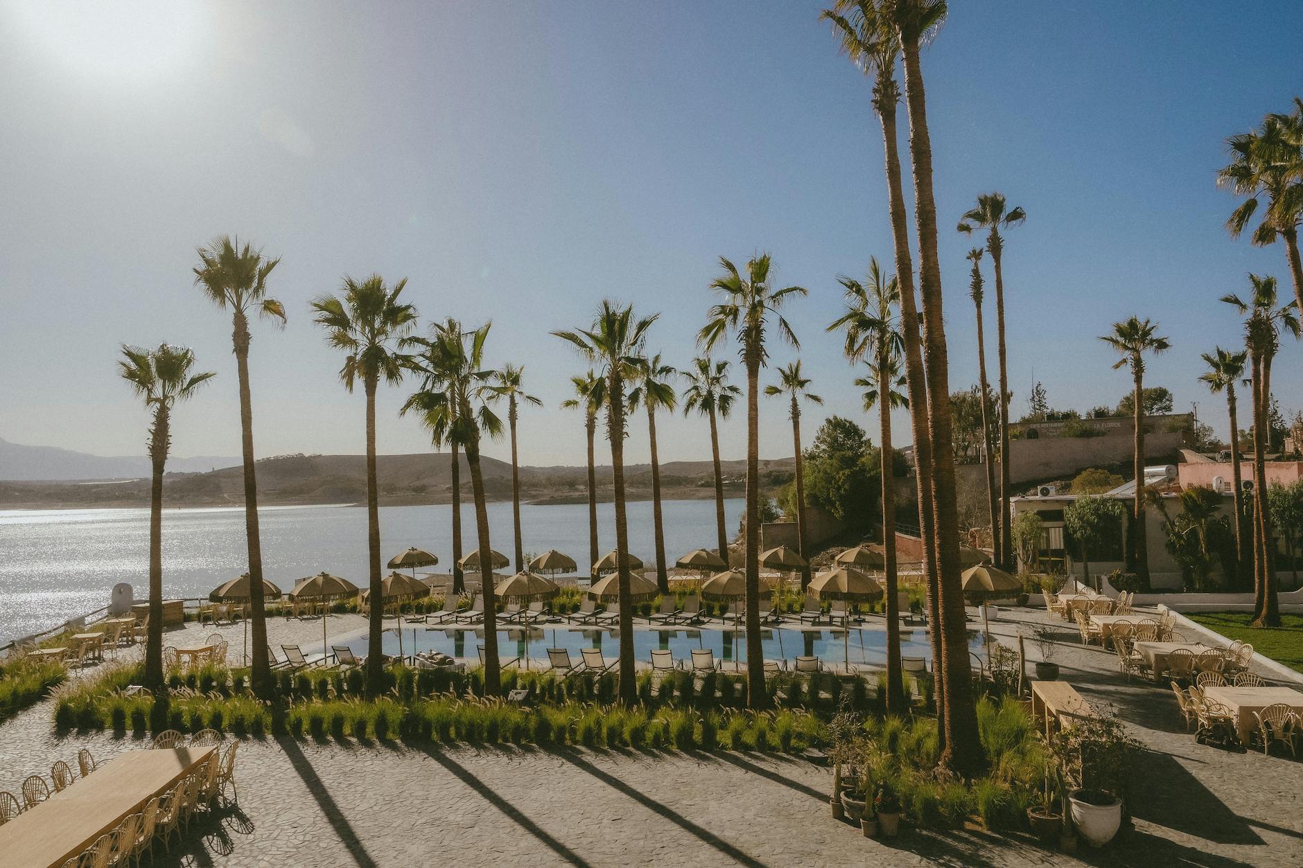 Poolside oasis with palm trees in Marrakesh
