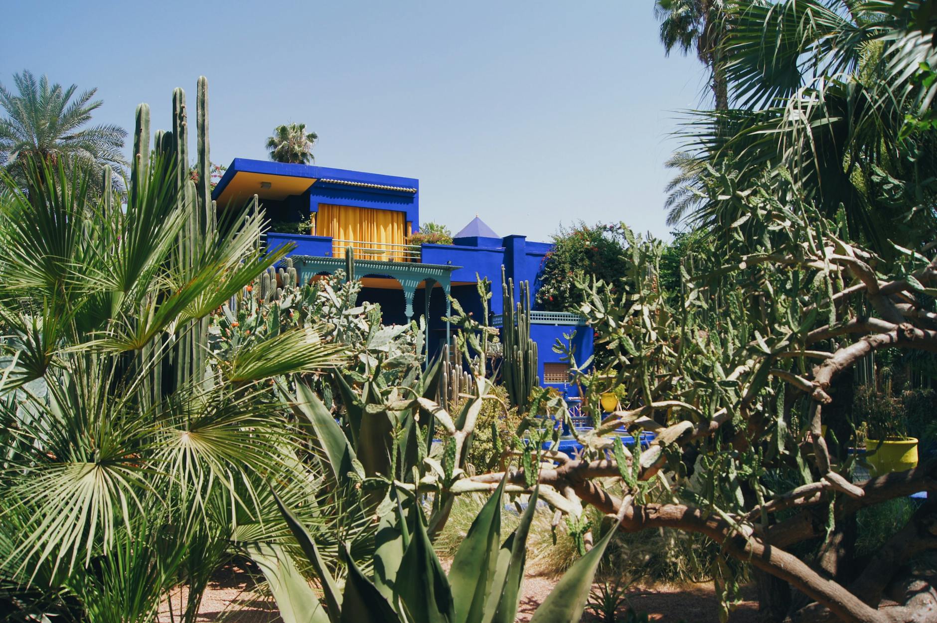 Majorelle blue house and cactus garden in Marrakech