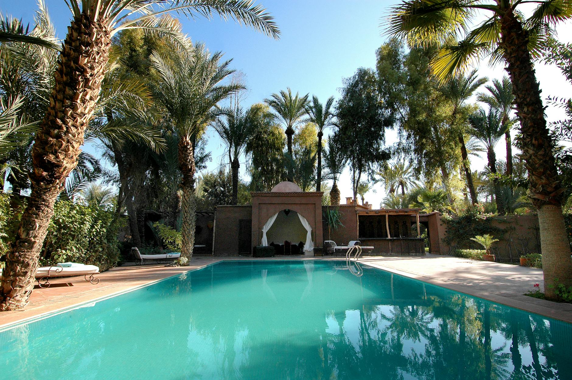 Palm-lined luxury resort pool in Morocco
