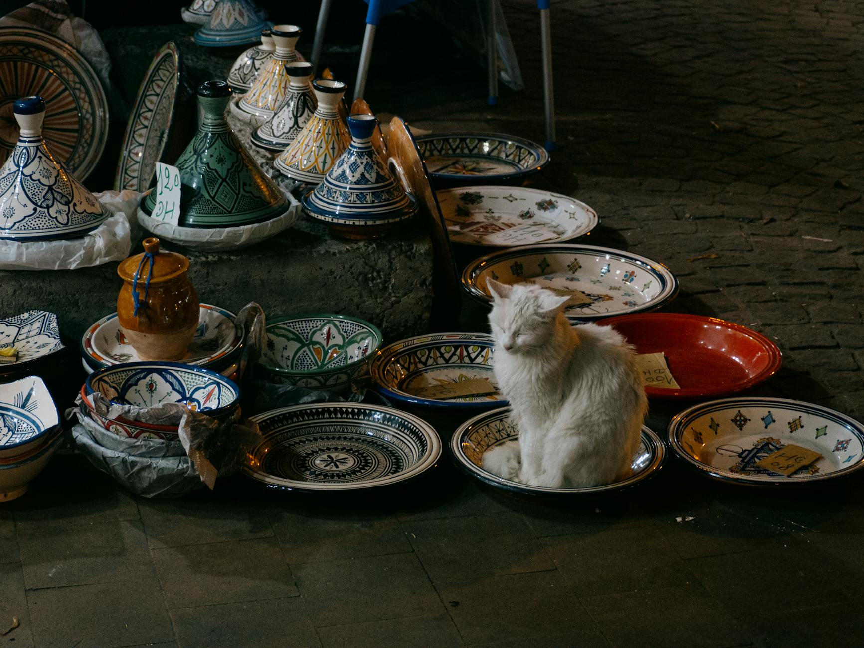 Moroccan ceramics with a cat in a night market setting