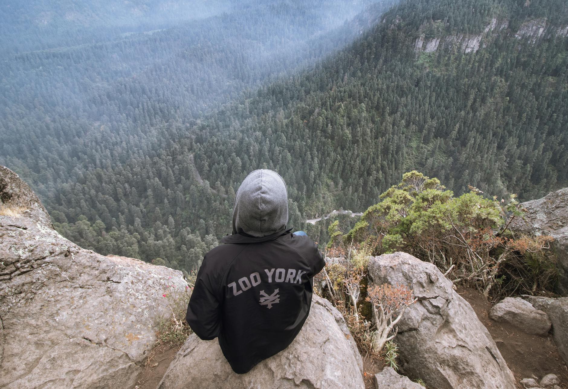 Person overlooking forest from a cliff edge in Ciudad de Mexico
