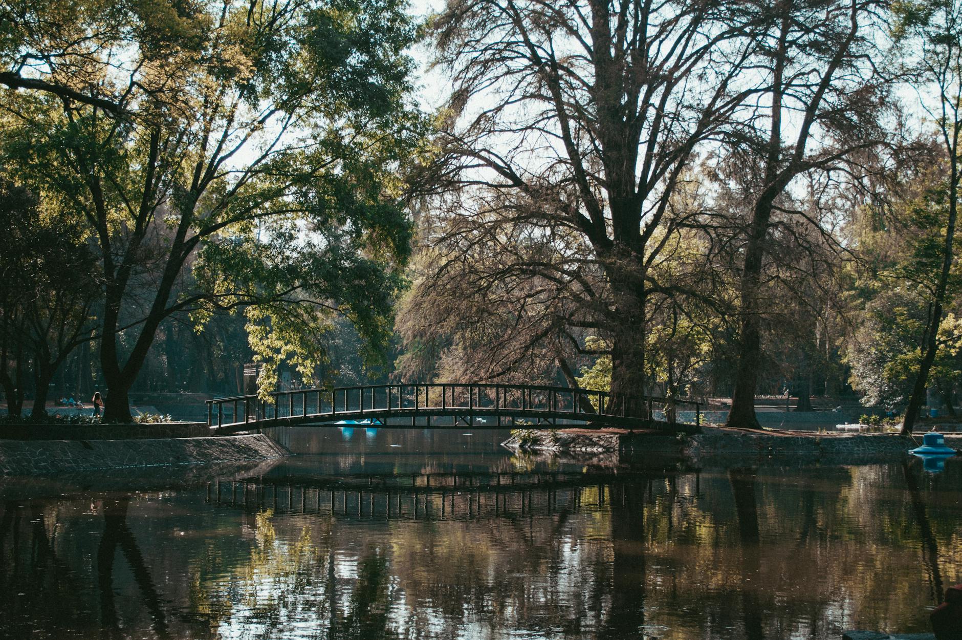 Footbridge over a pond in Chapultepec Park