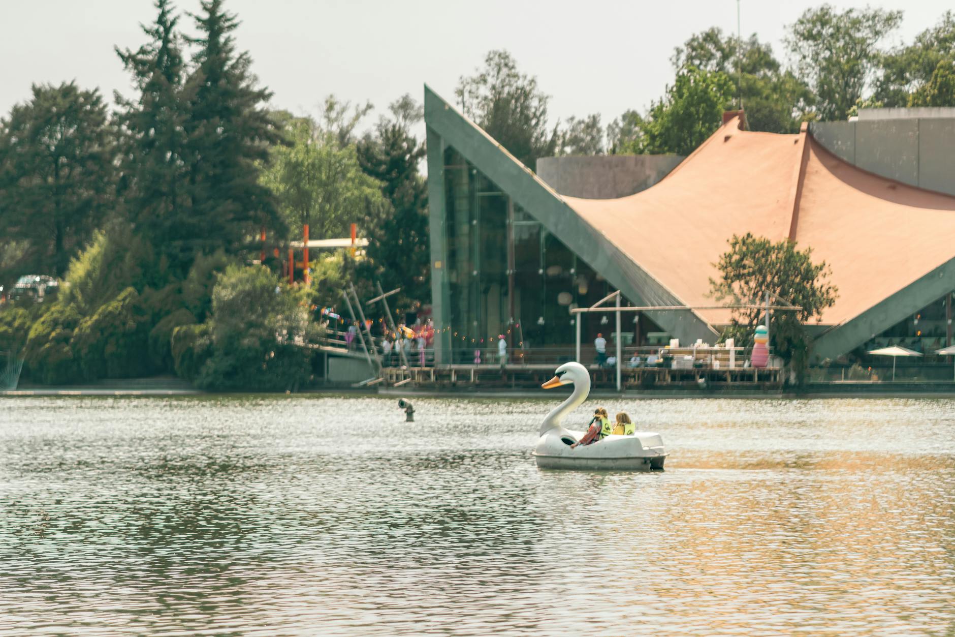 Swan pedal boat on a lake in Chapultepec Park