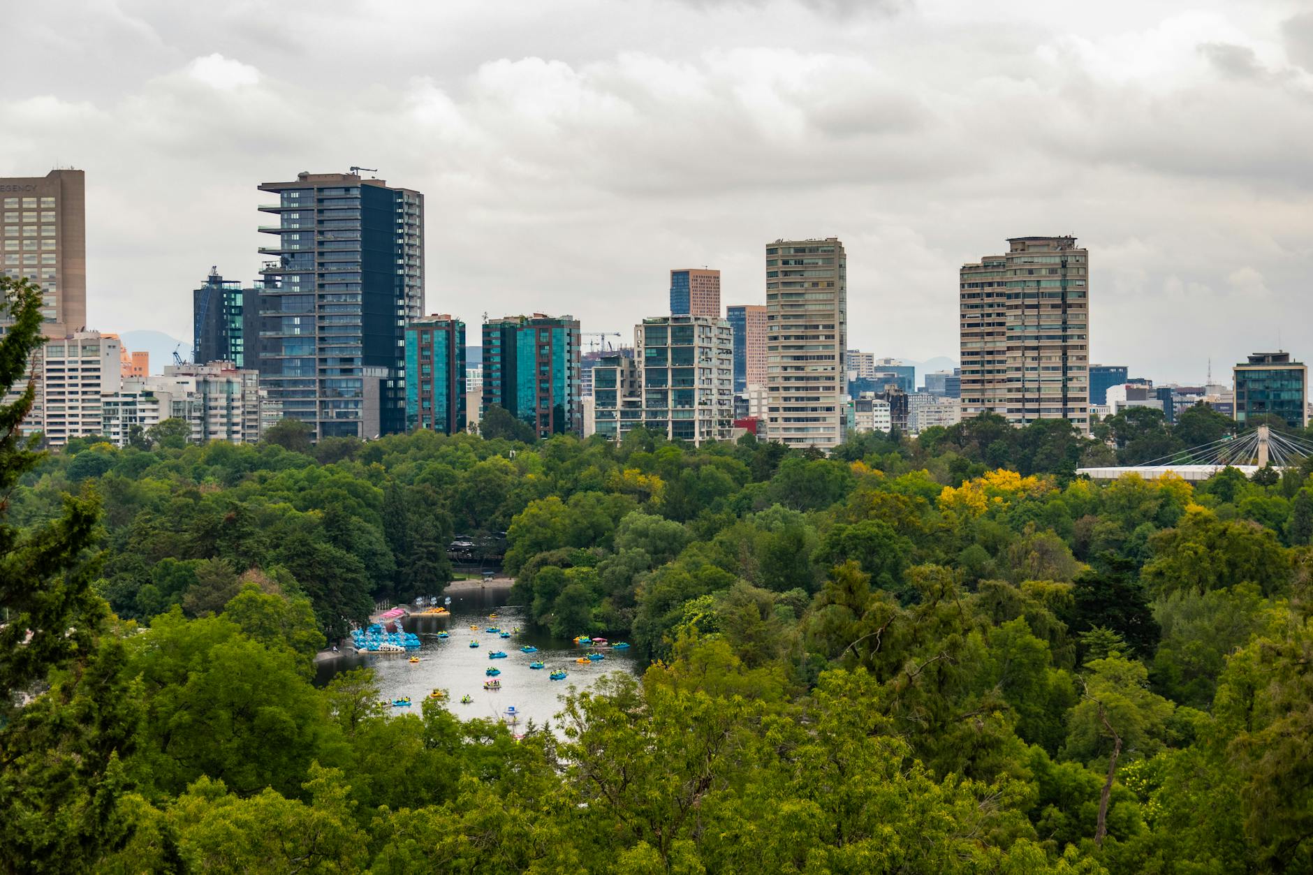 High-rise buildings and greenery in Chapultepec Park