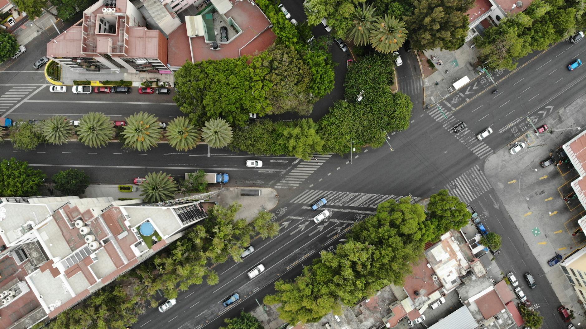 Tree-lined urban intersection in Mexico City