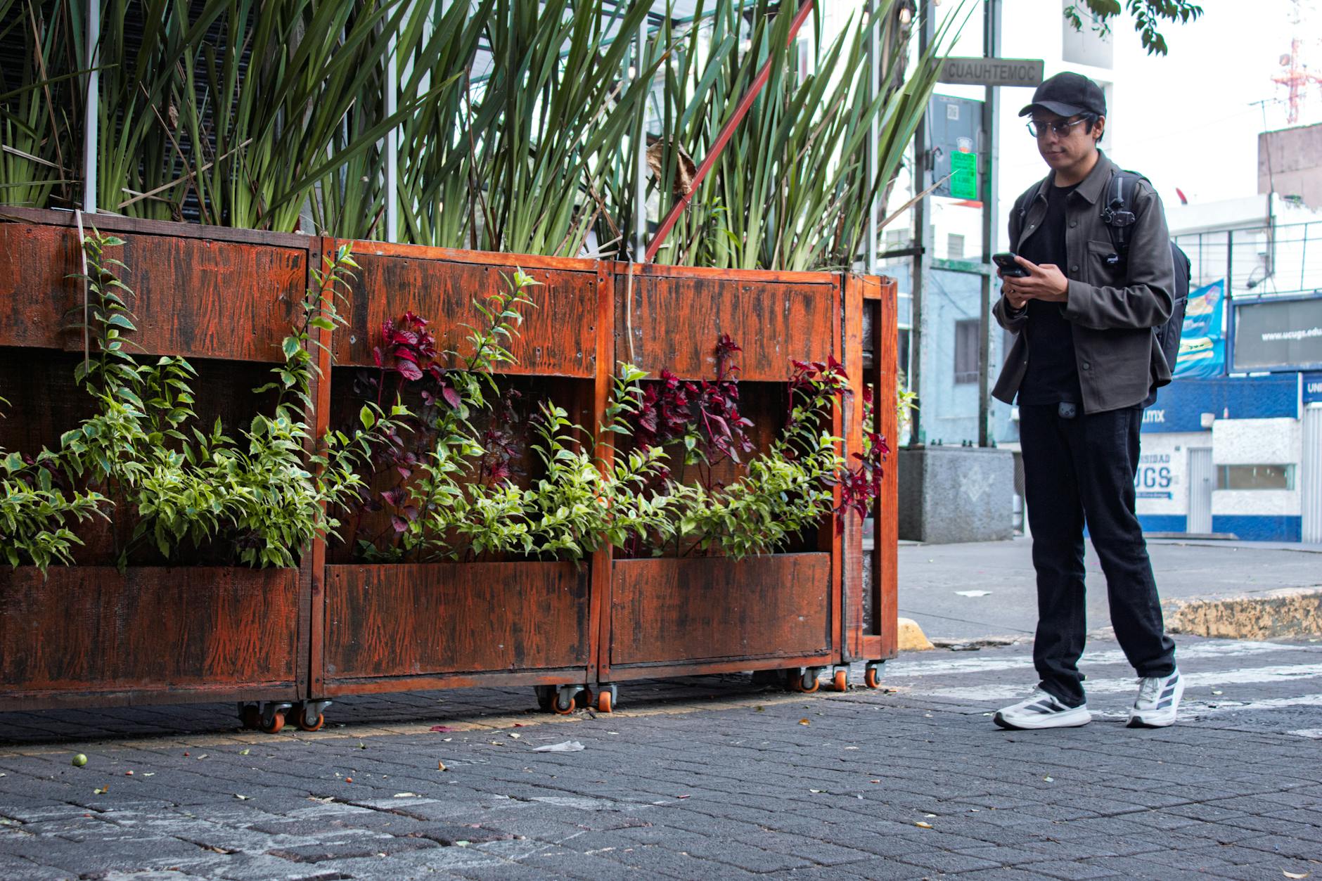 Street scene in Mexico City with urban planters