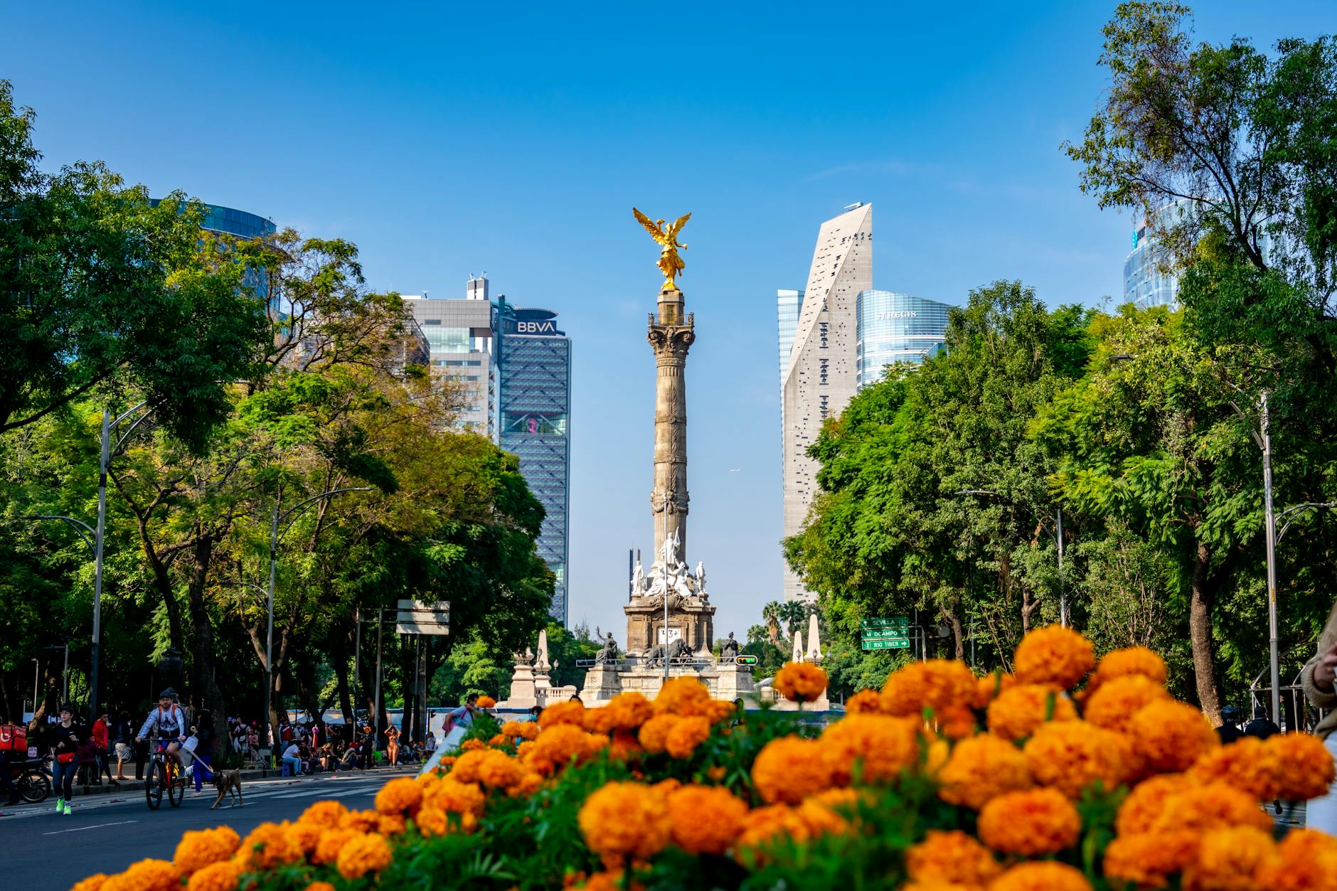 Angel of Independence with flowers and cityscape in Mexico City
