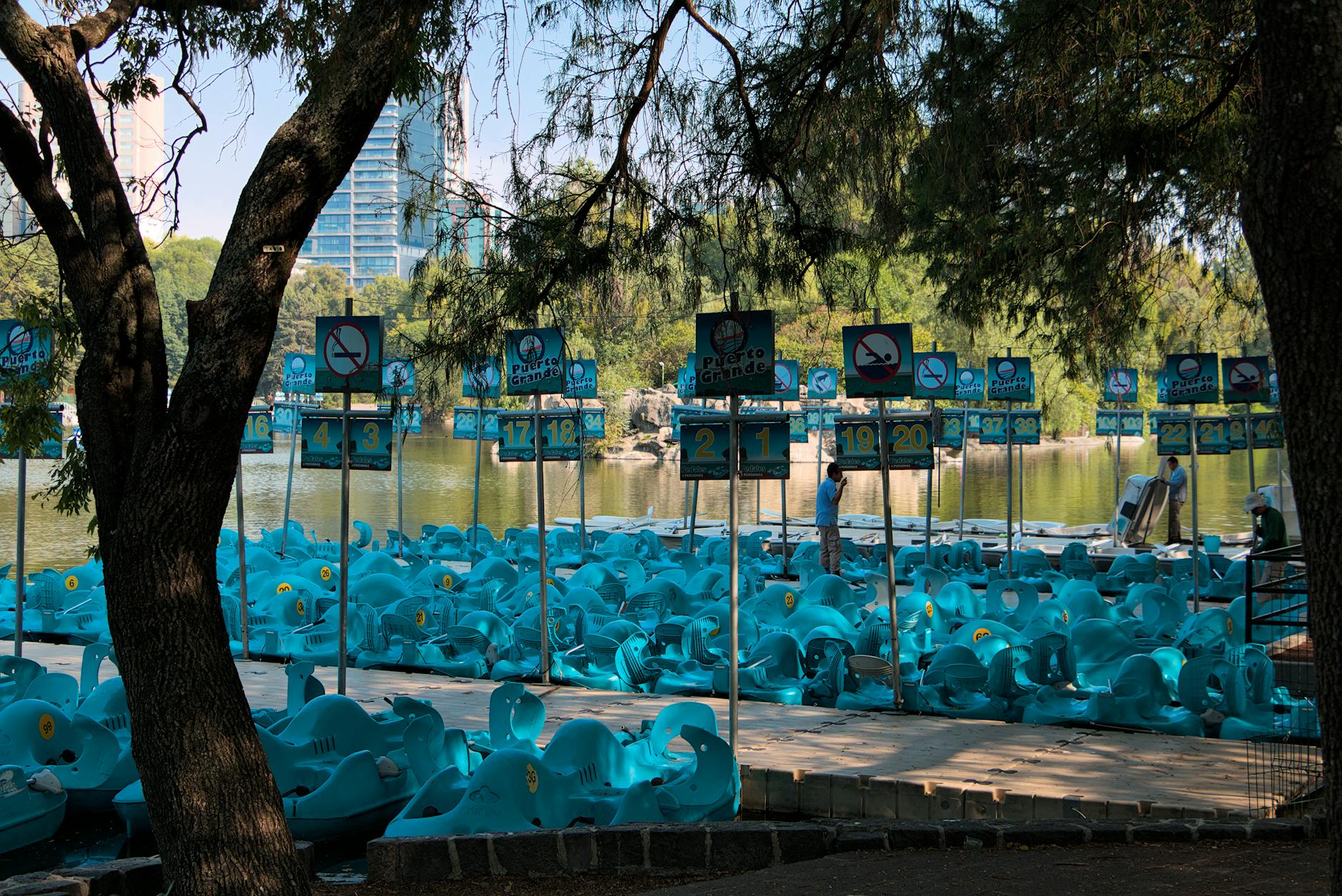 Blue pedal boats in a Mexico City park