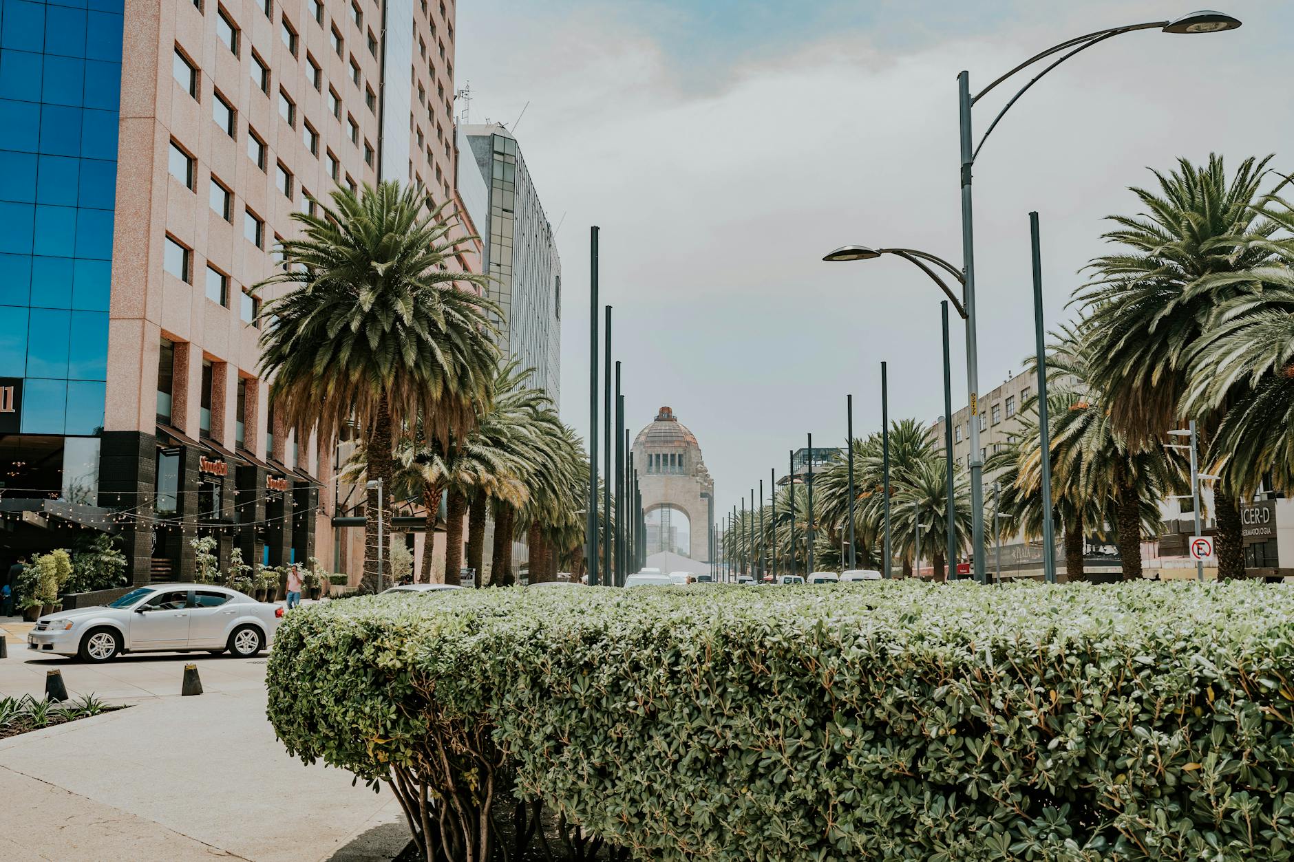 Monumento a la Revolucion and palm-lined streets in Mexico City