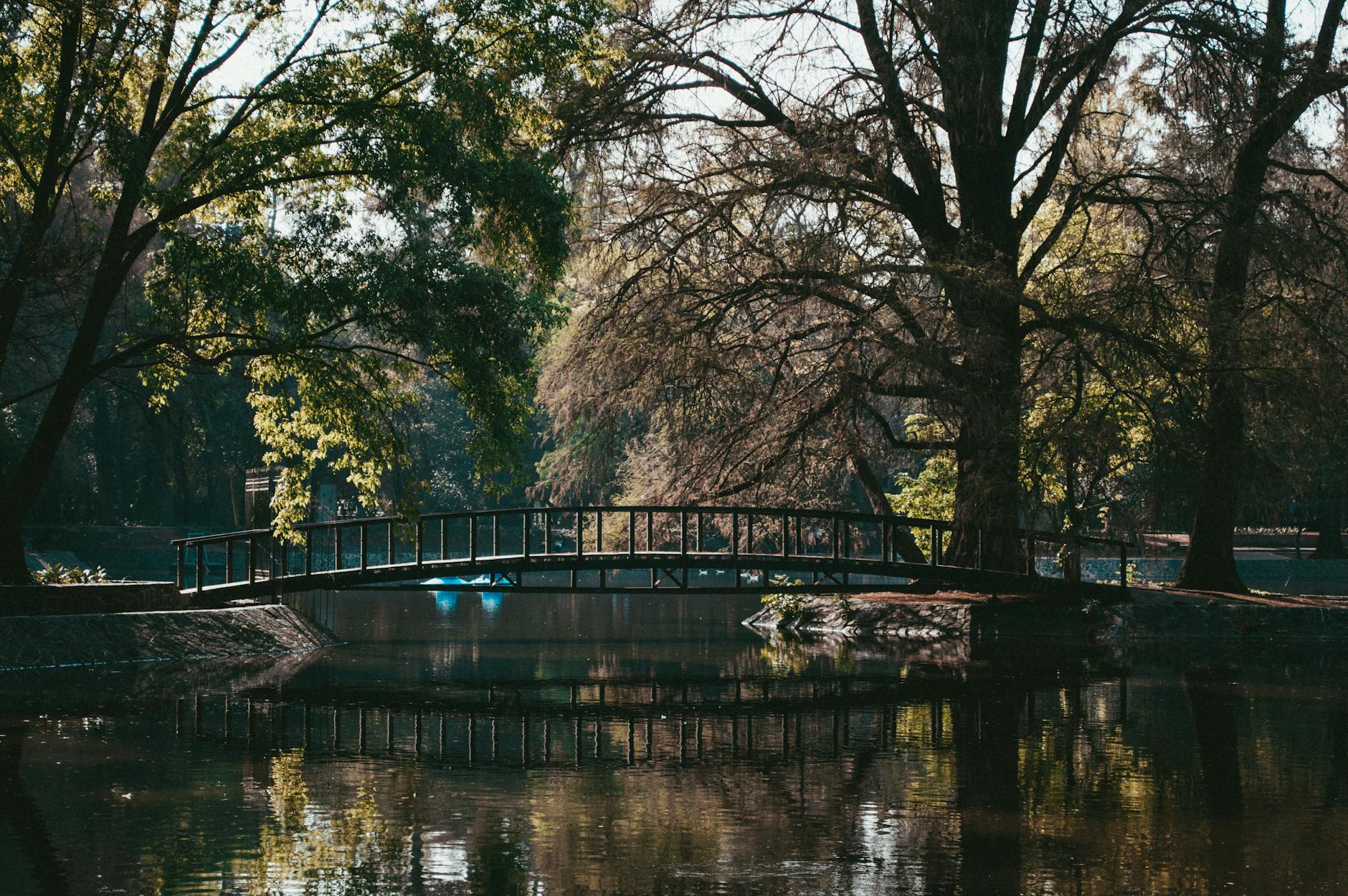 Bridge over calm water in Chapultepec Park