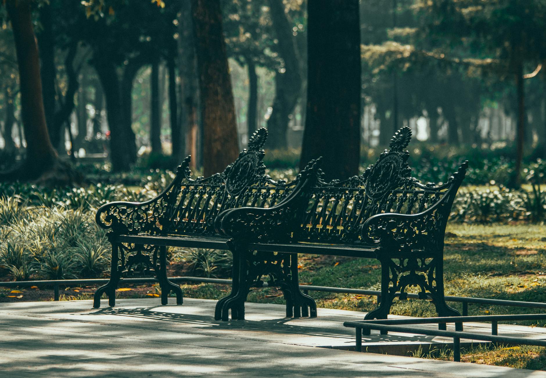 Benches in a green Mexico City park