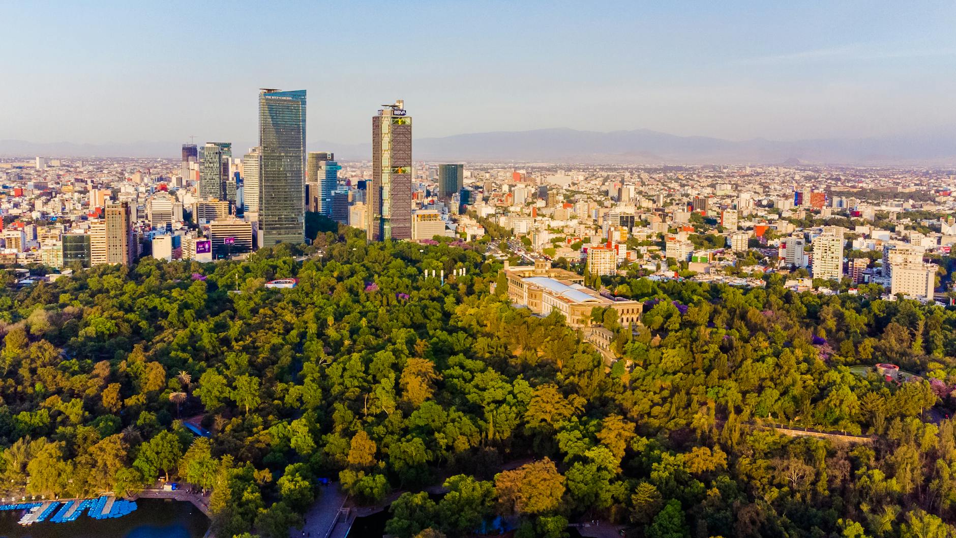 Mexico City skyline and greenery from above