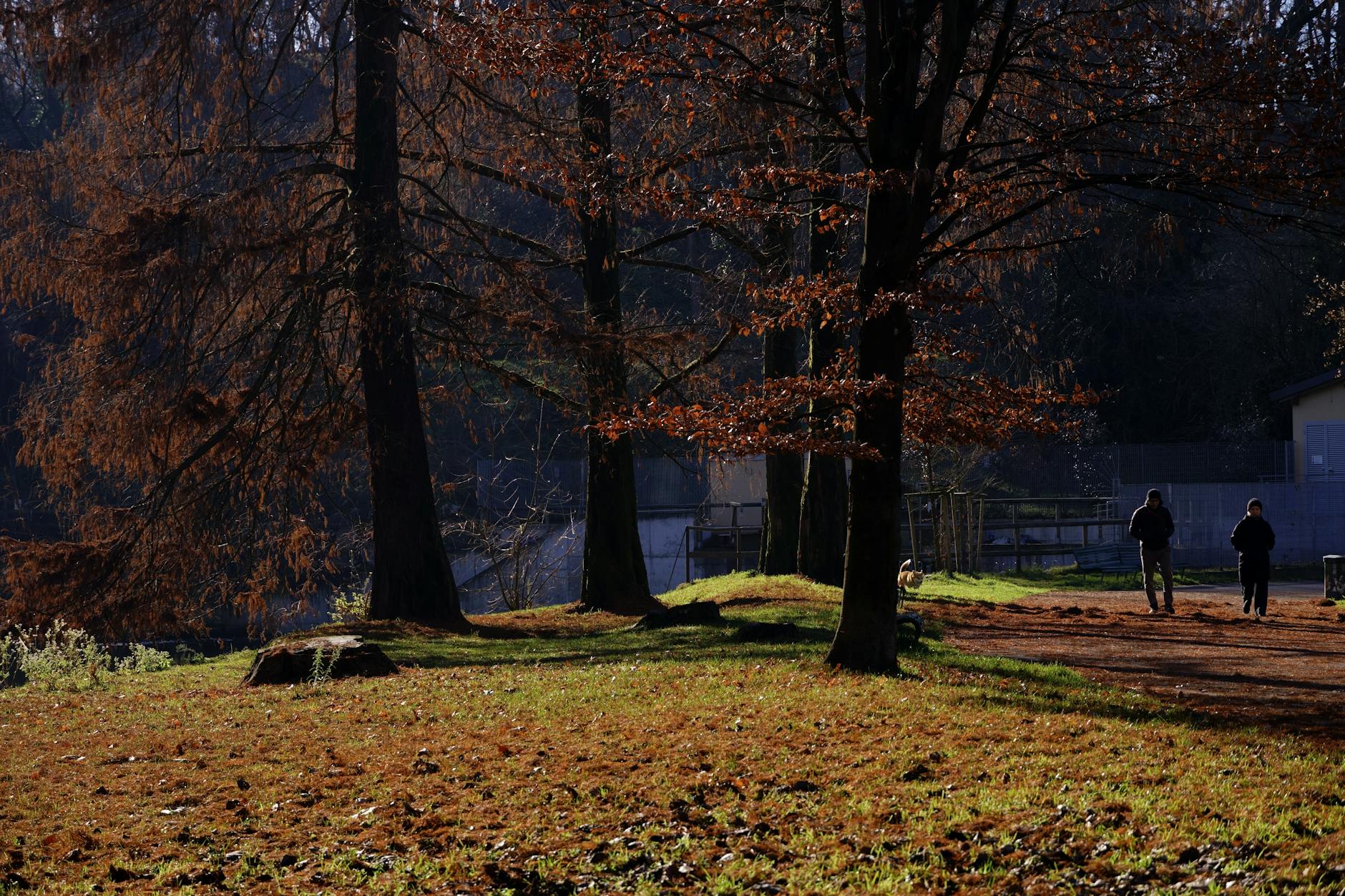 Autumn walking path in a Milan park