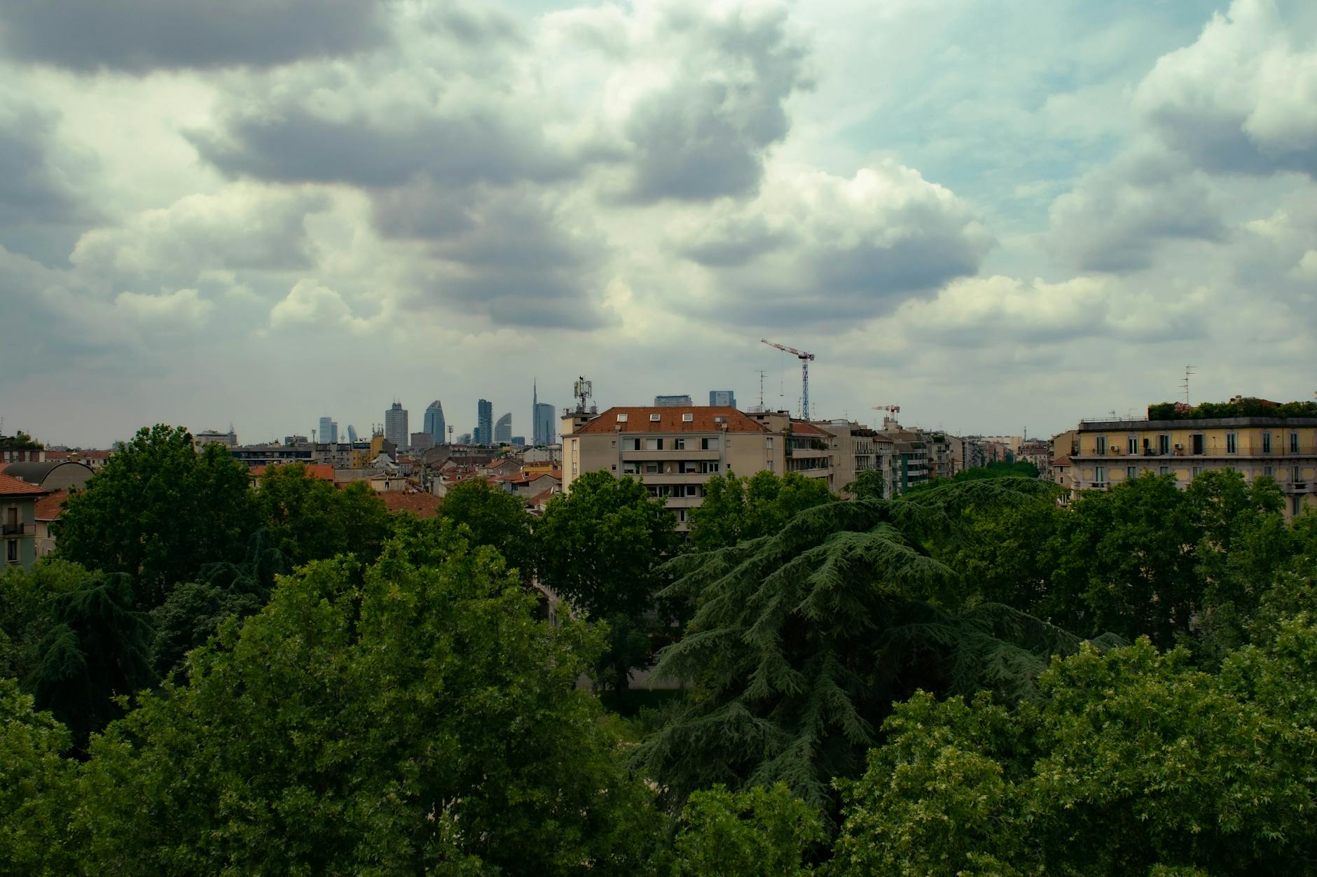 Milan skyline over trees