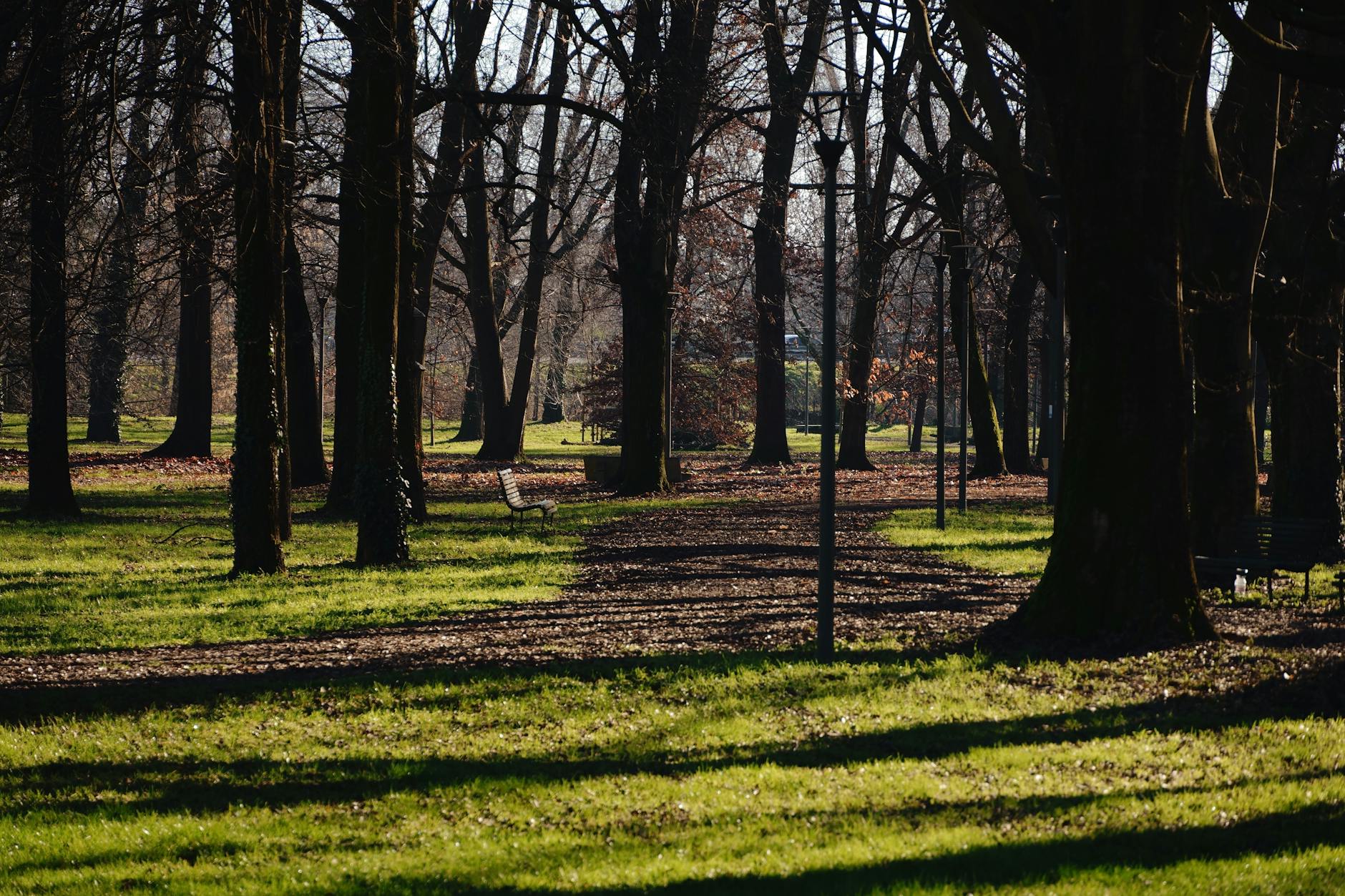 Quiet winter park in Milan with benches