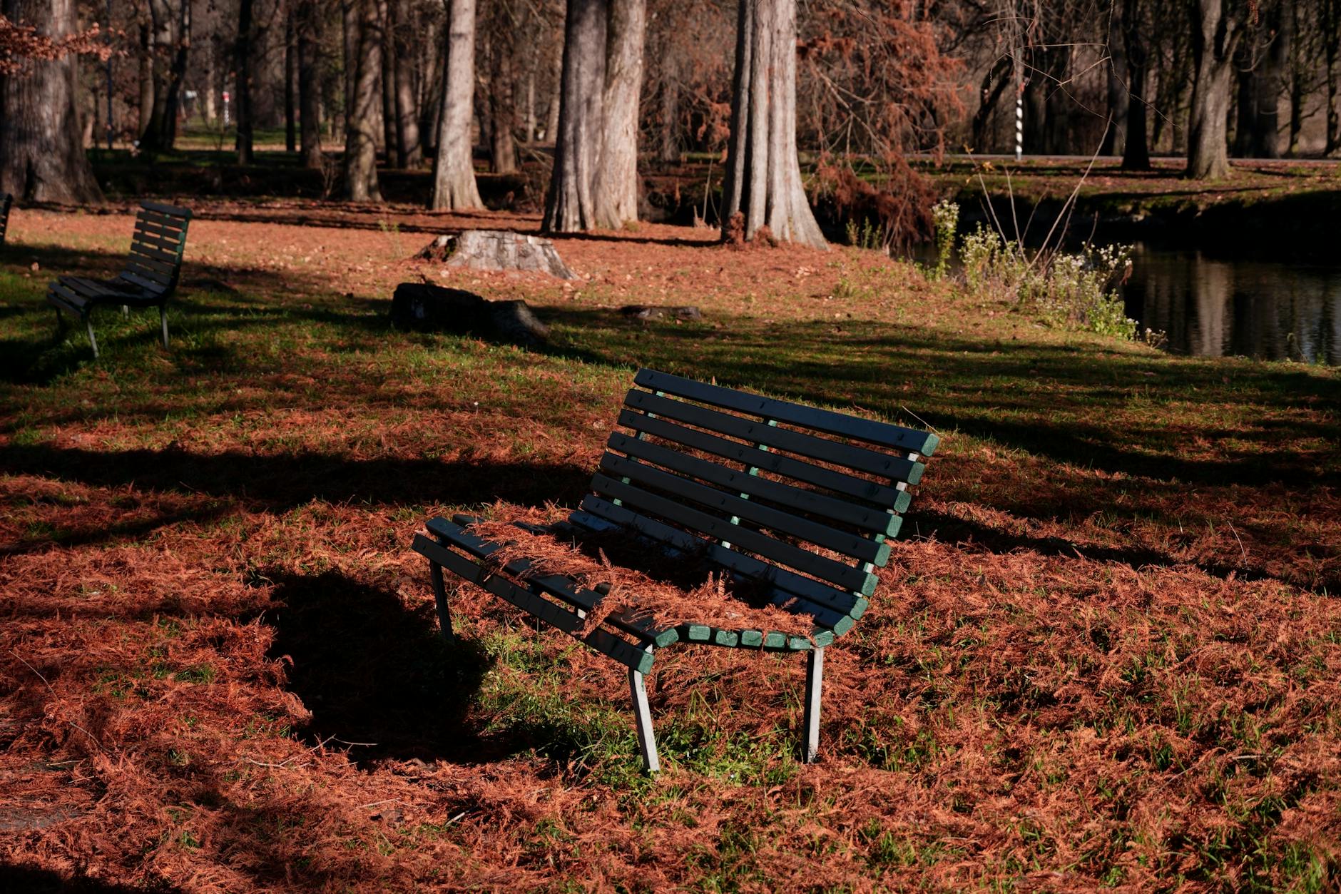 Peaceful autumn park in Milan with benches